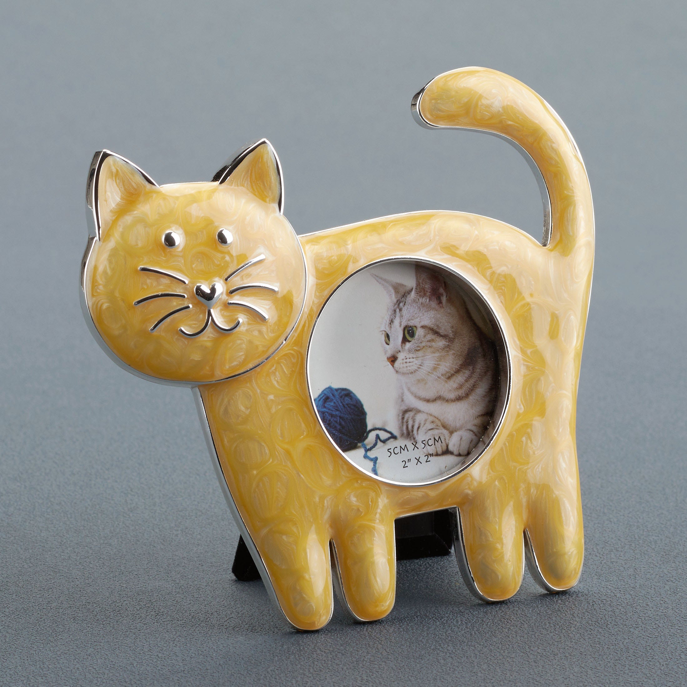 Cat Standing On Four Legs Photo Frame (White )
