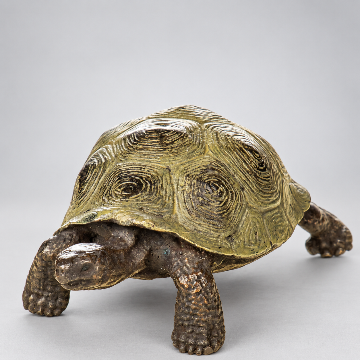 Tortoise Vienna Bronze Miniature – Cold Painted – view 4