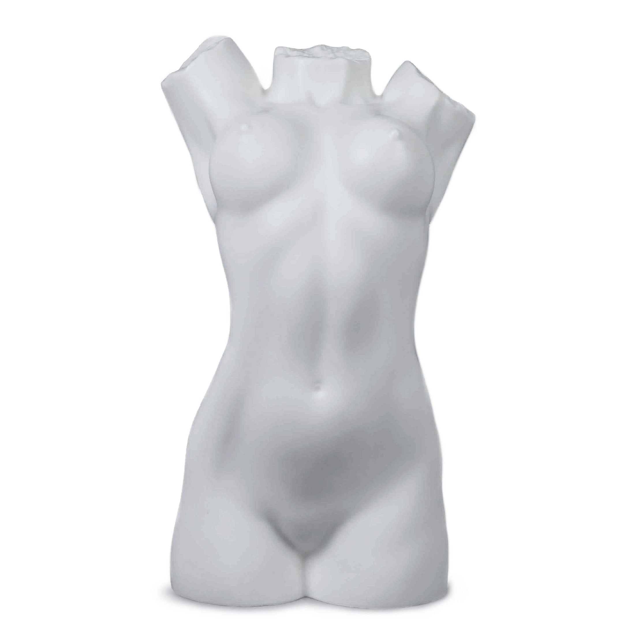 NudeFemale Torso065(Matt)