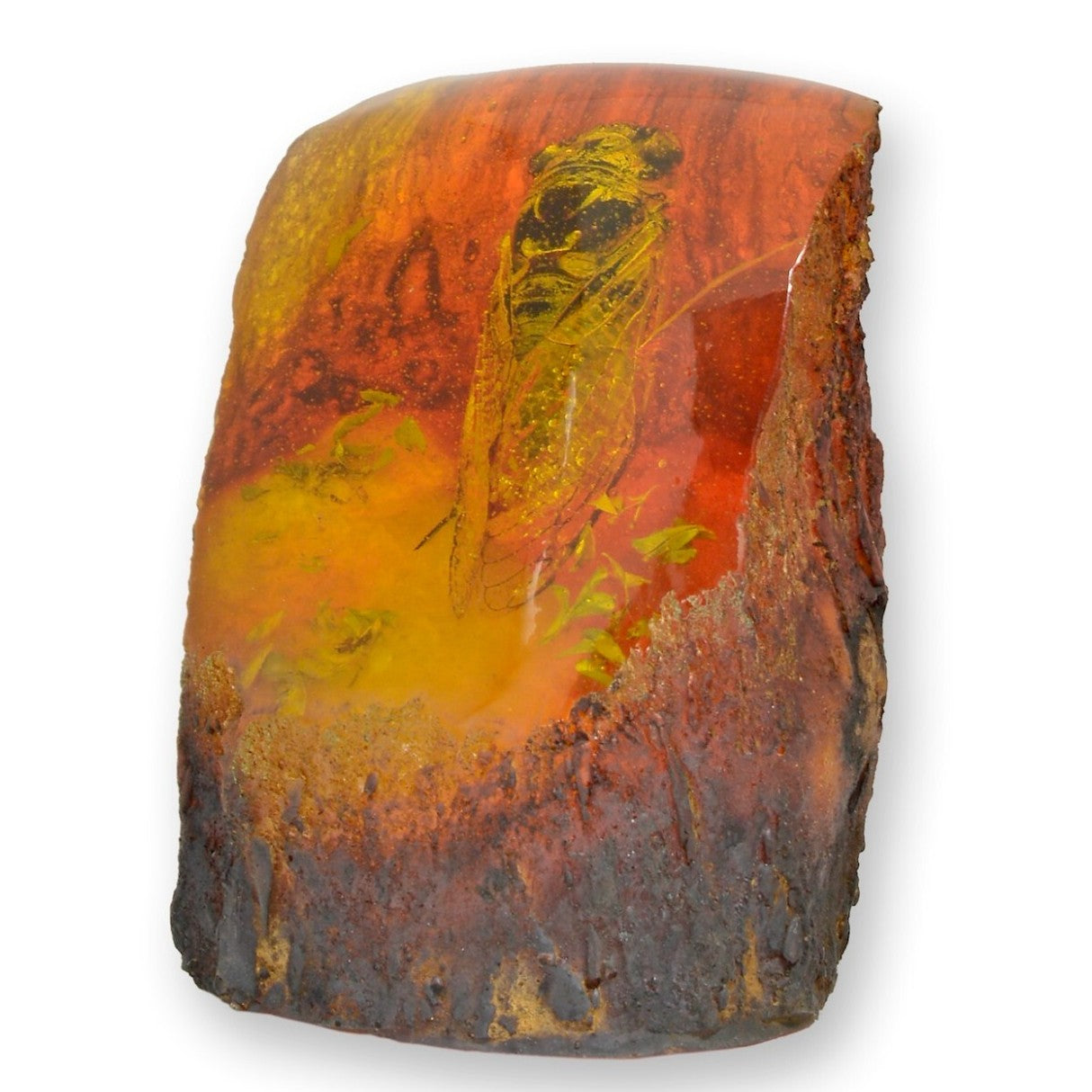 Cicada – Amber Look Nature Display | Animal Sculptures | Home Decor