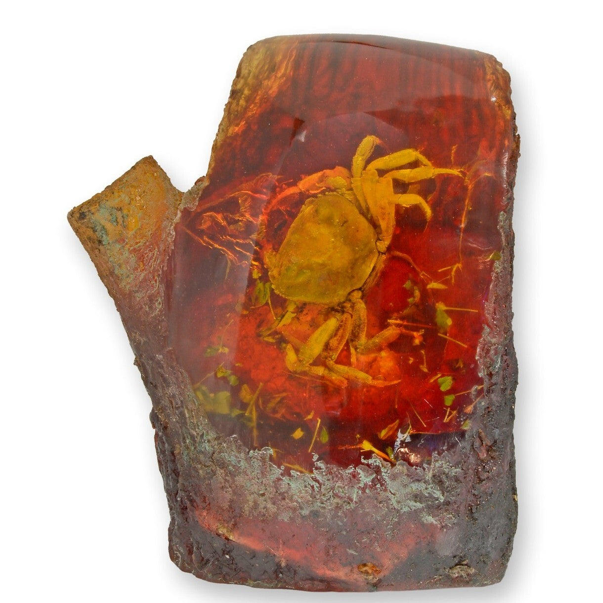 Crab in Resin Branch | Animal Sculptures | Home Decor | Handcrafted