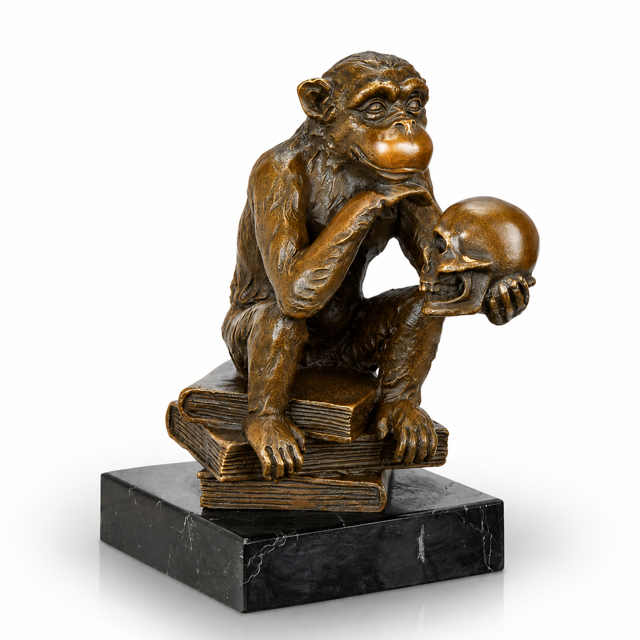 Darwin Monkey | Animal Sculptures | Home Decor | Handcrafted