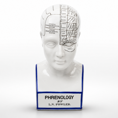 Vintage Style Porcelain Phrenology Head – Anatomical Decor
