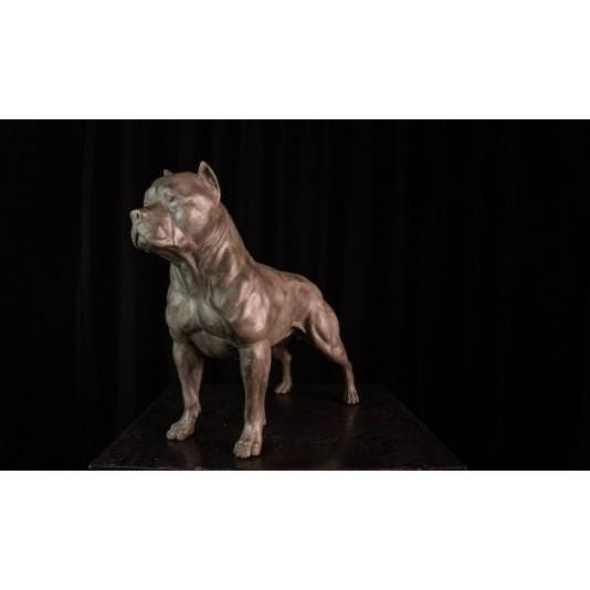 Life size Bronze Pitbull | Animal Sculptures | Home Decor