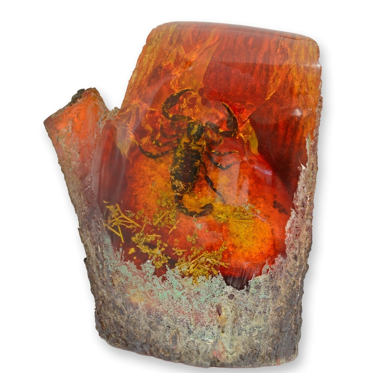 Scorpion – Amber Style Fossil Art | Animal Sculptures | Home Decor