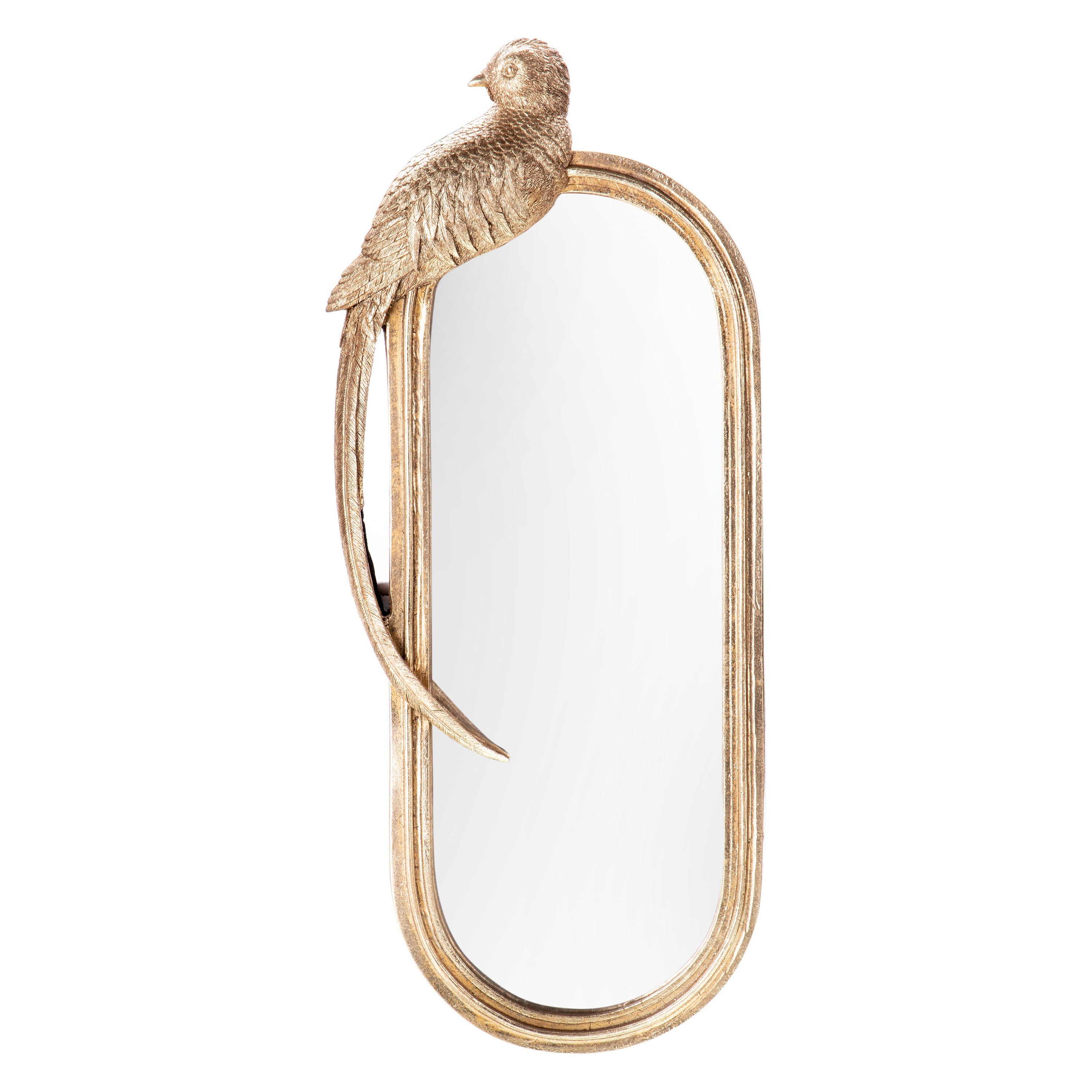 Mirror with polyresin frame with parrot | Handcrafted Wall Decor