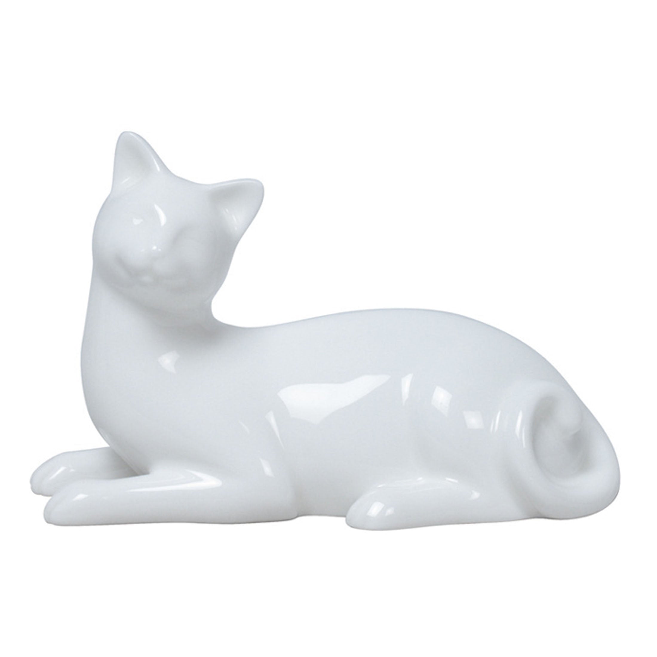 Artistic Cat Lying On The Ground And Facing Left