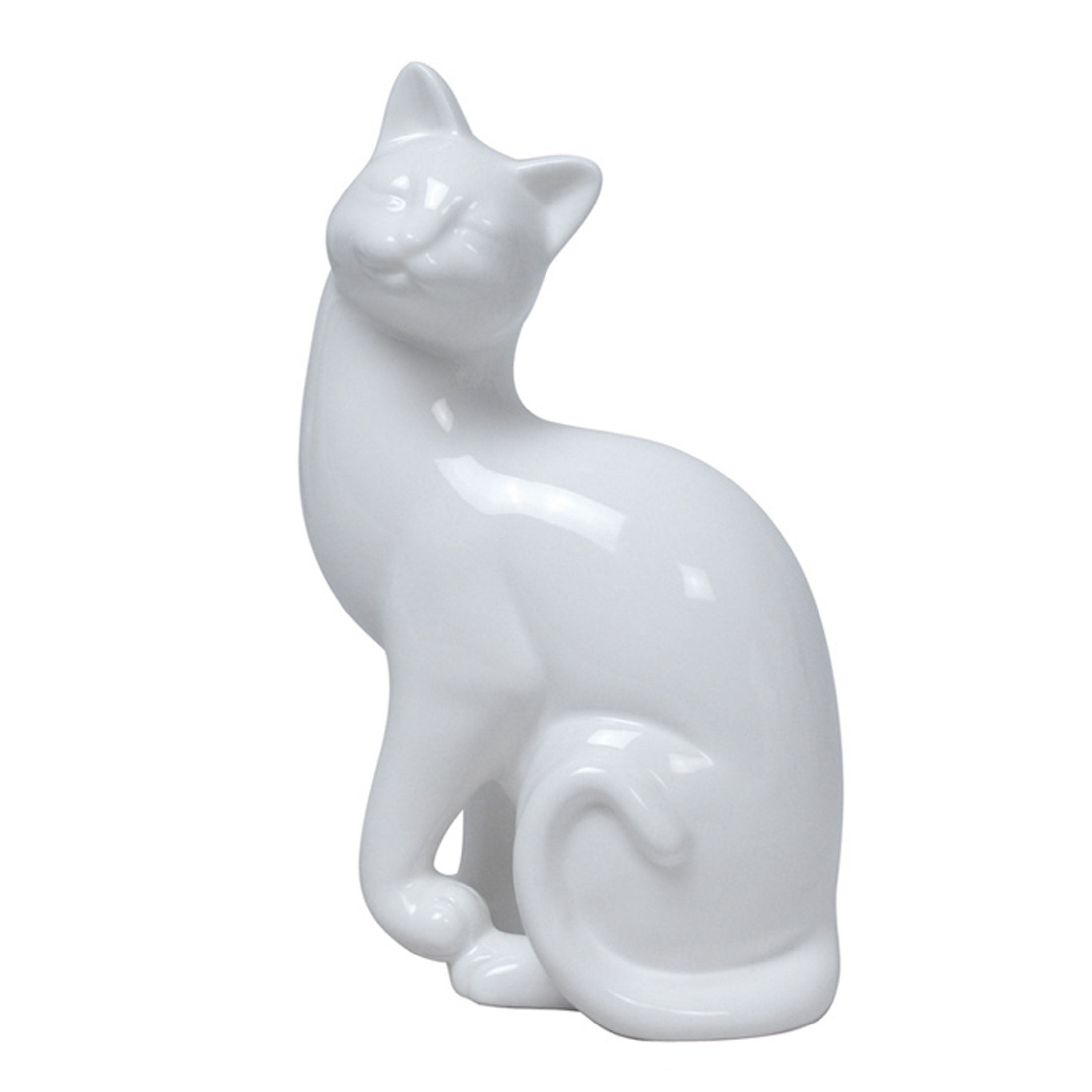 Lifting Left Paw