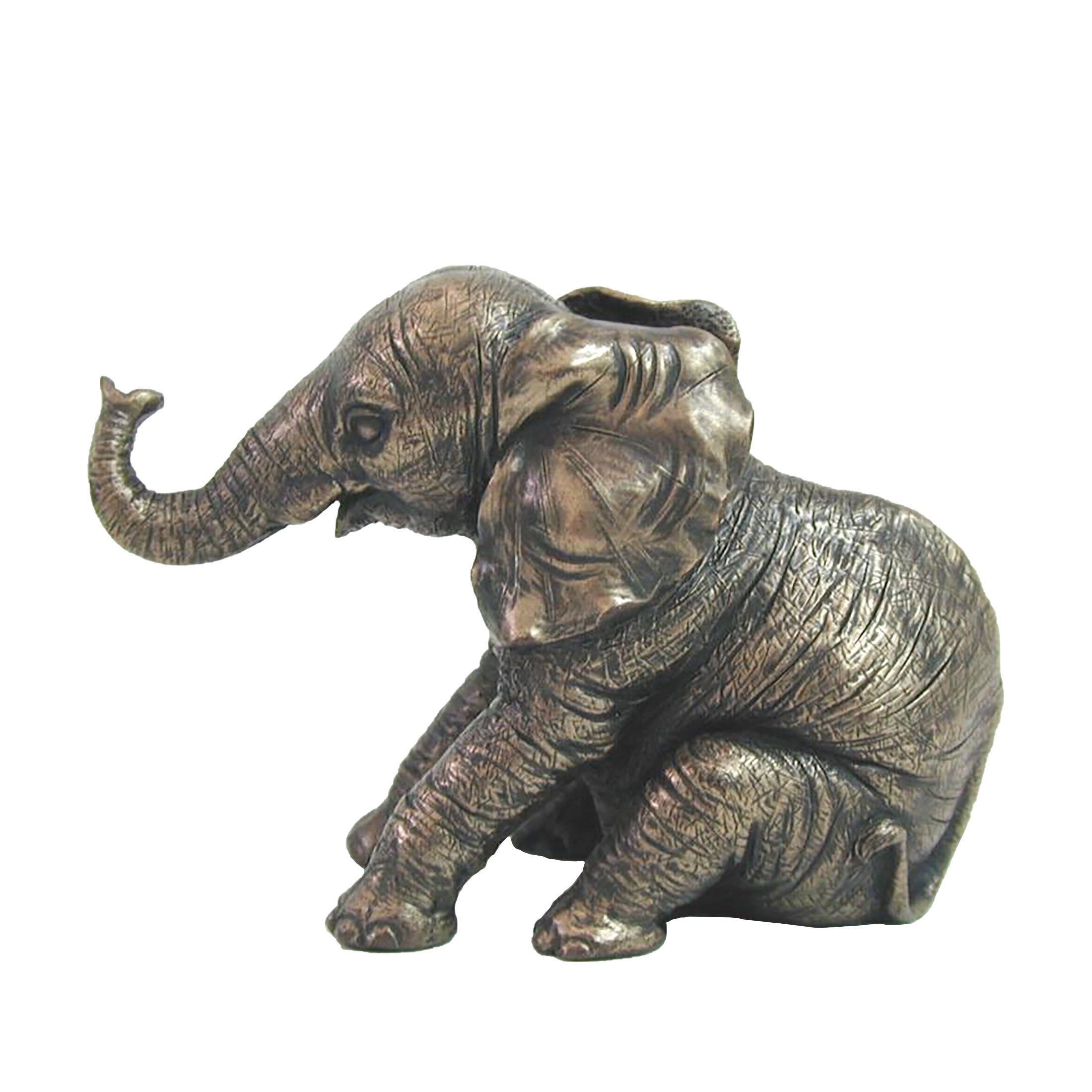 Baby Elephant Sitting And Facing Ahead (Mbz)