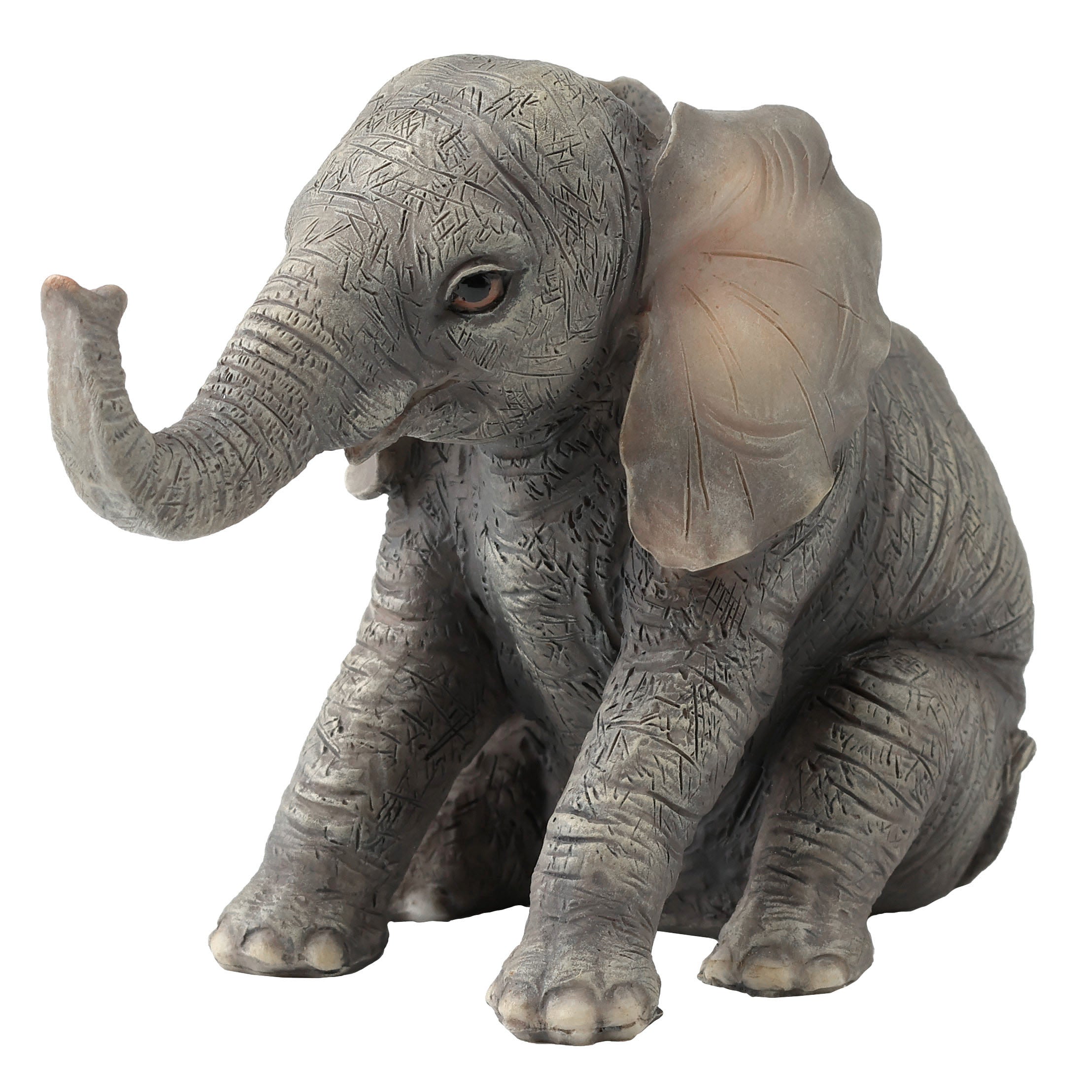 Baby Elephant Sitting And Facing Ahead