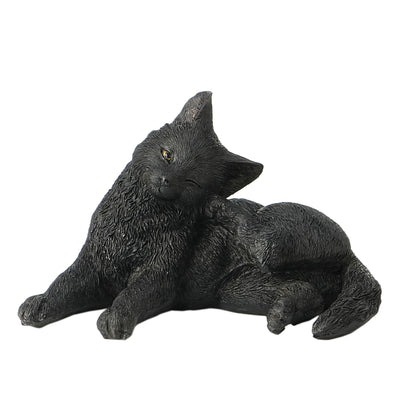 Black Cat Rear Feet Scratching Ear