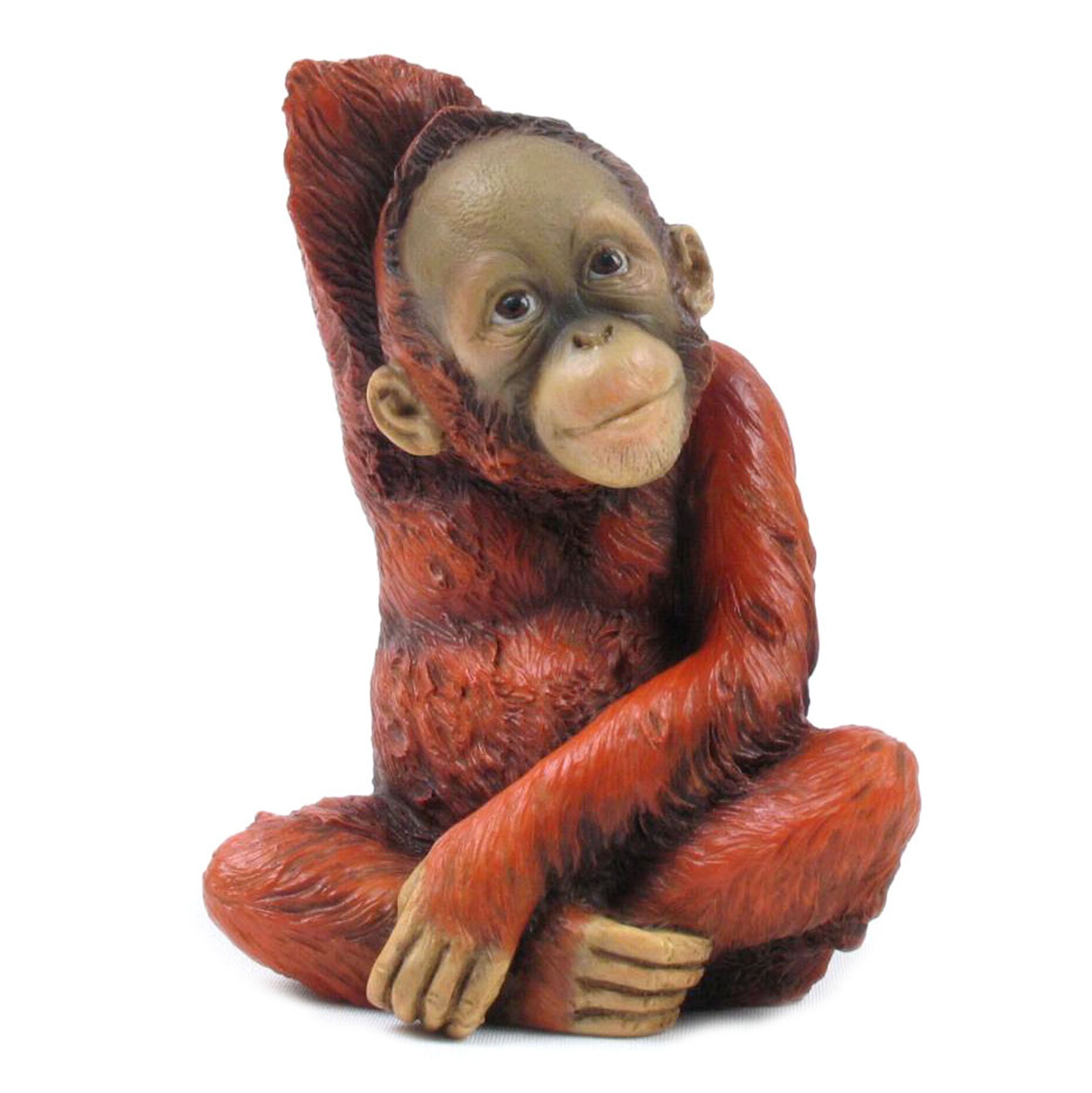 Baby Orangutan Scratching Back