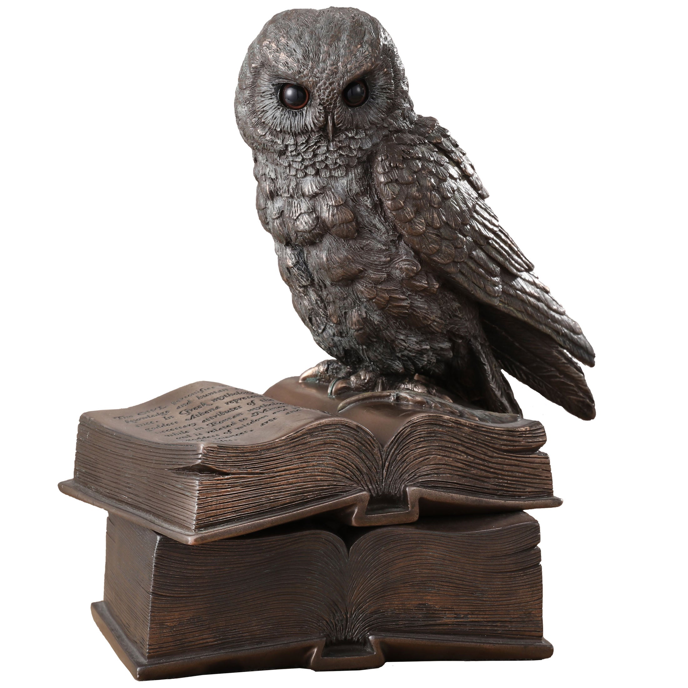 Owl Perched On Top Of Books Trinket Box