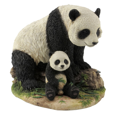 Panda And Cub
