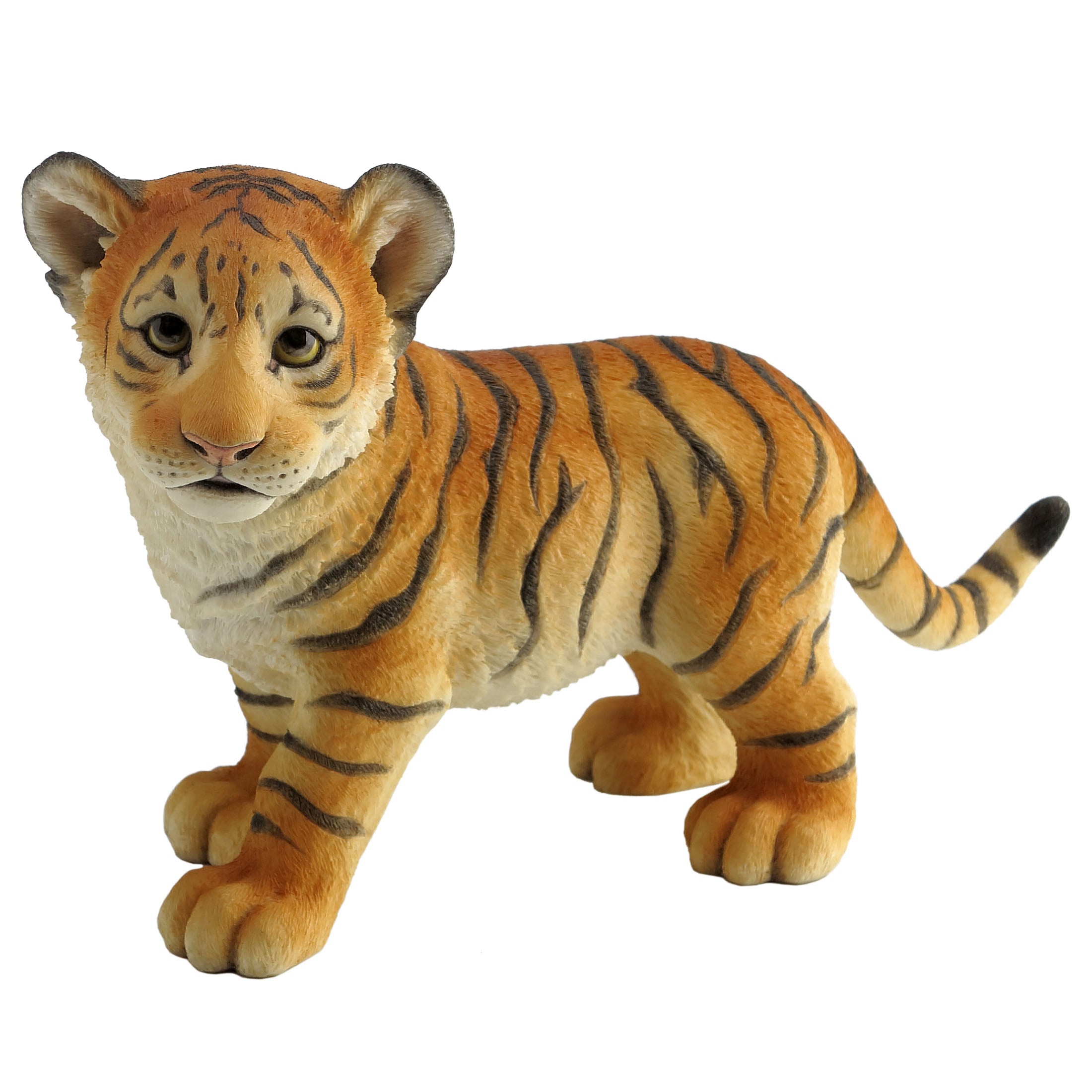 Tiger Cub Standing