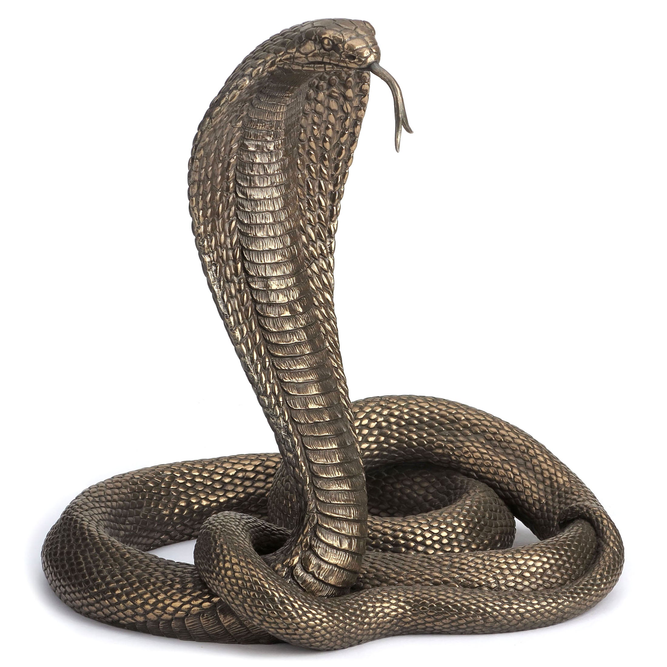 King Cobra (Bronze)