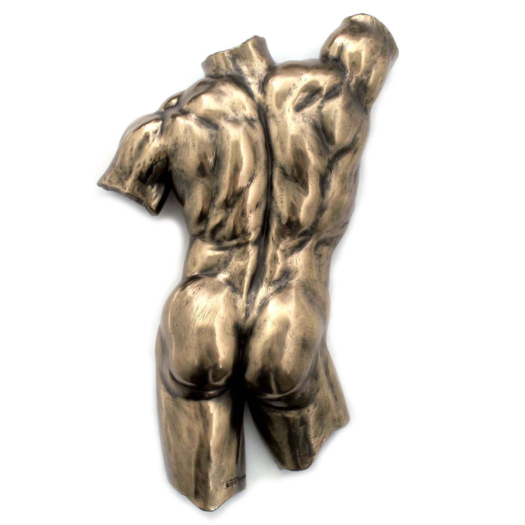 Wall Plaque Male Torso Back 333 (Bronze)