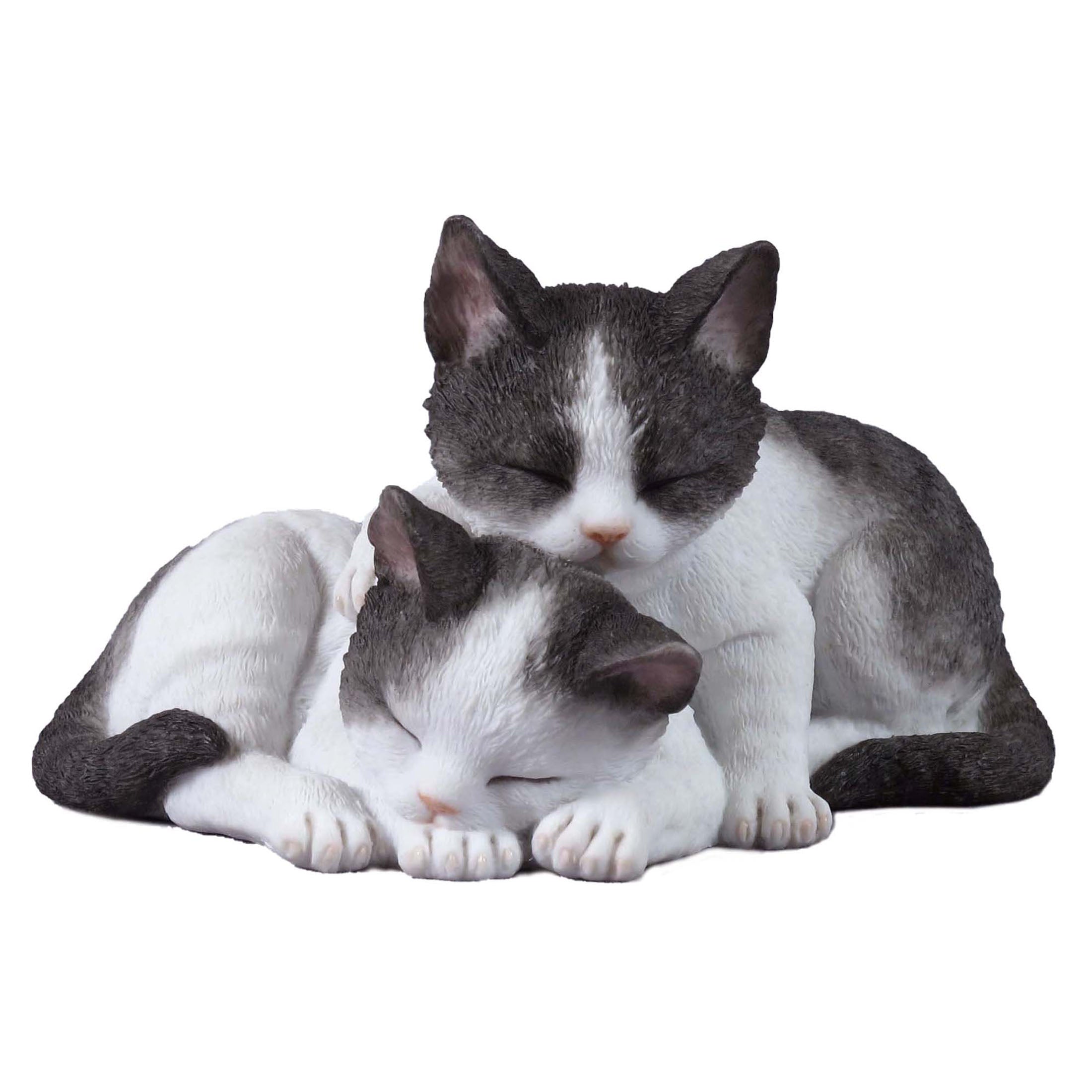 Sleeping Kittens