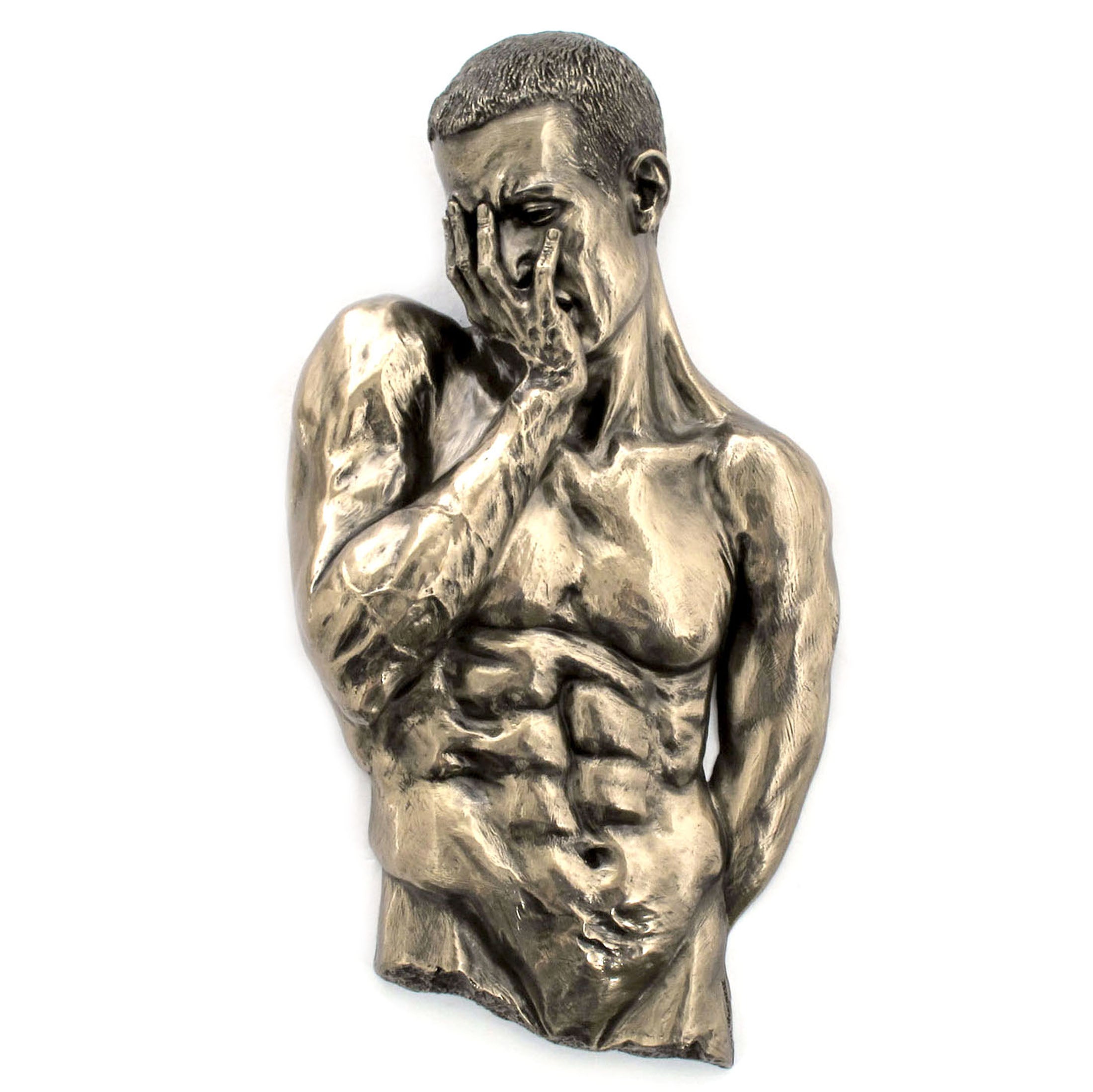 Wall Plaque Male Torso 397 (Bronze)