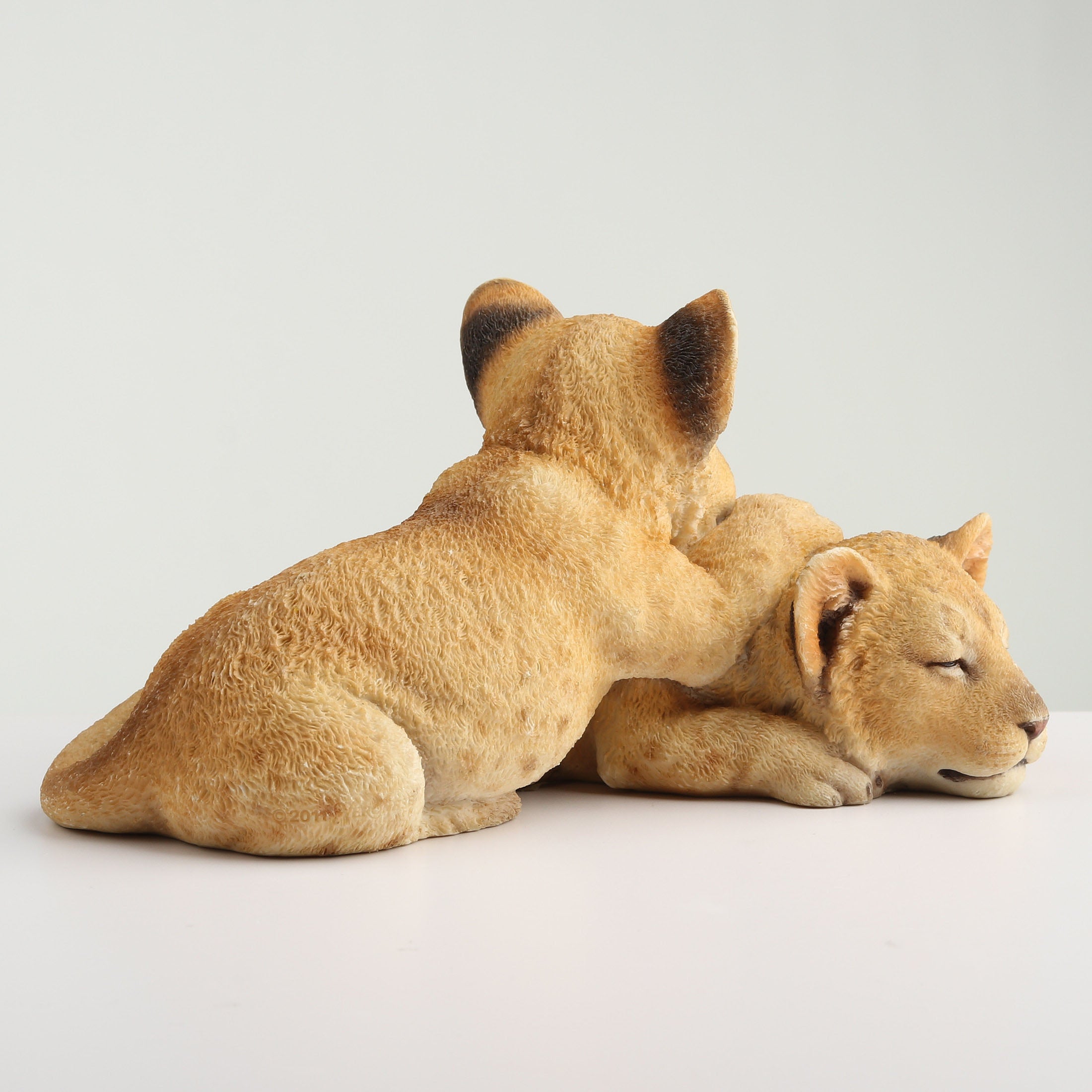 Lion Cubs