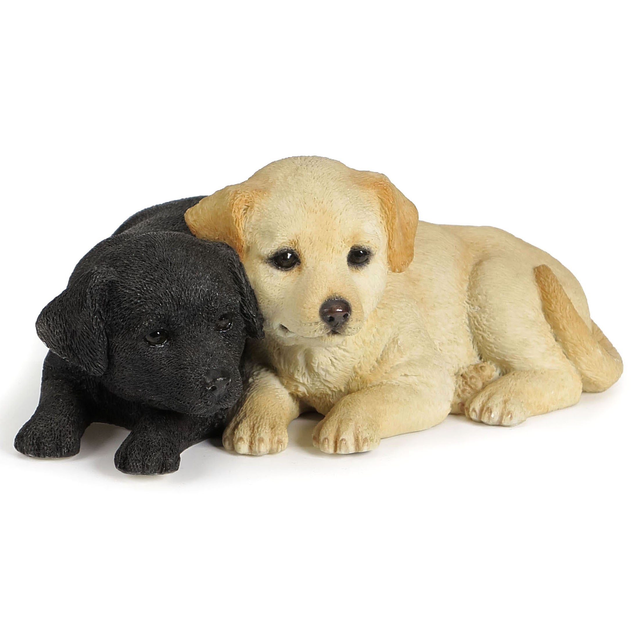 Labrador Puppies