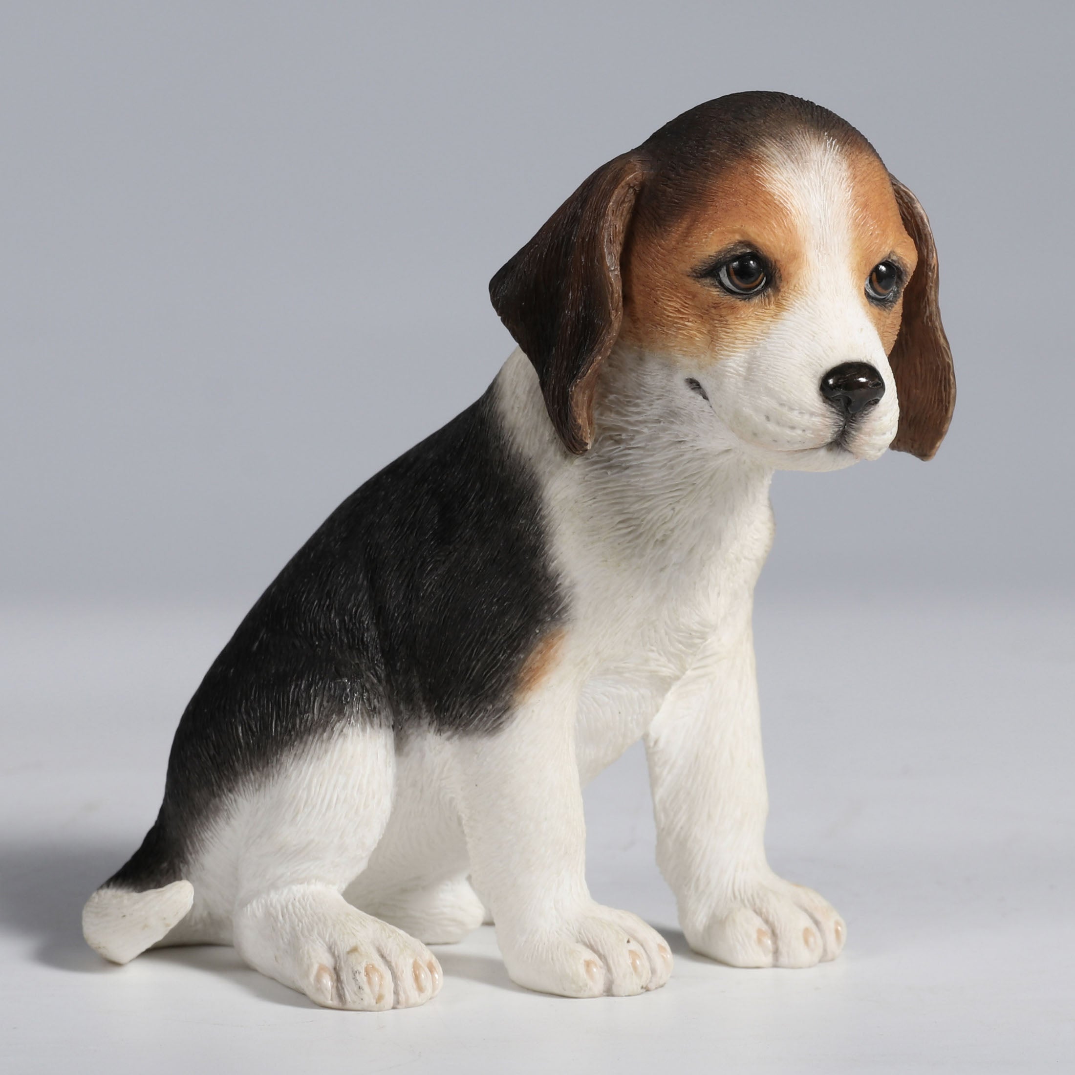 Beagle Puppy