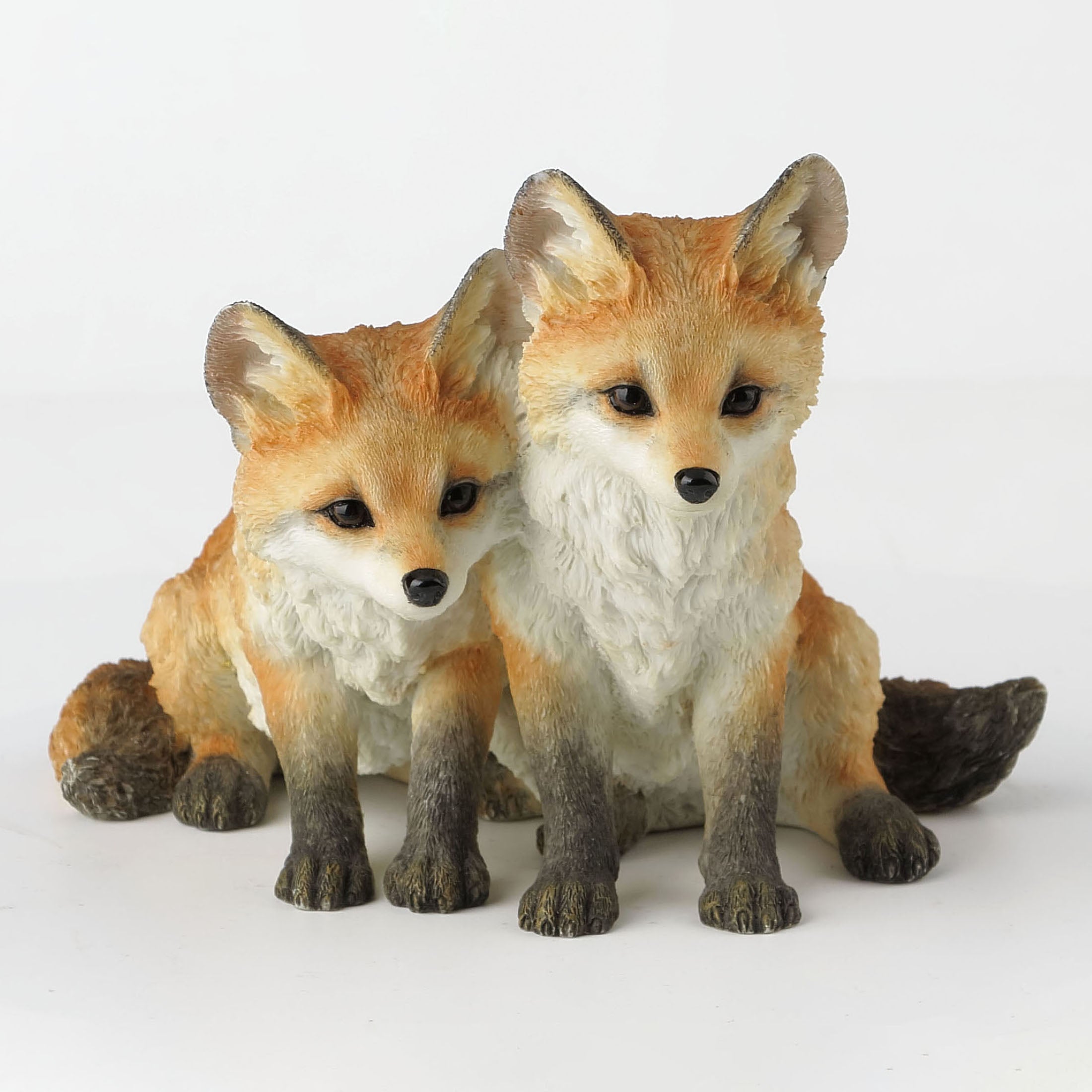Fox Pups