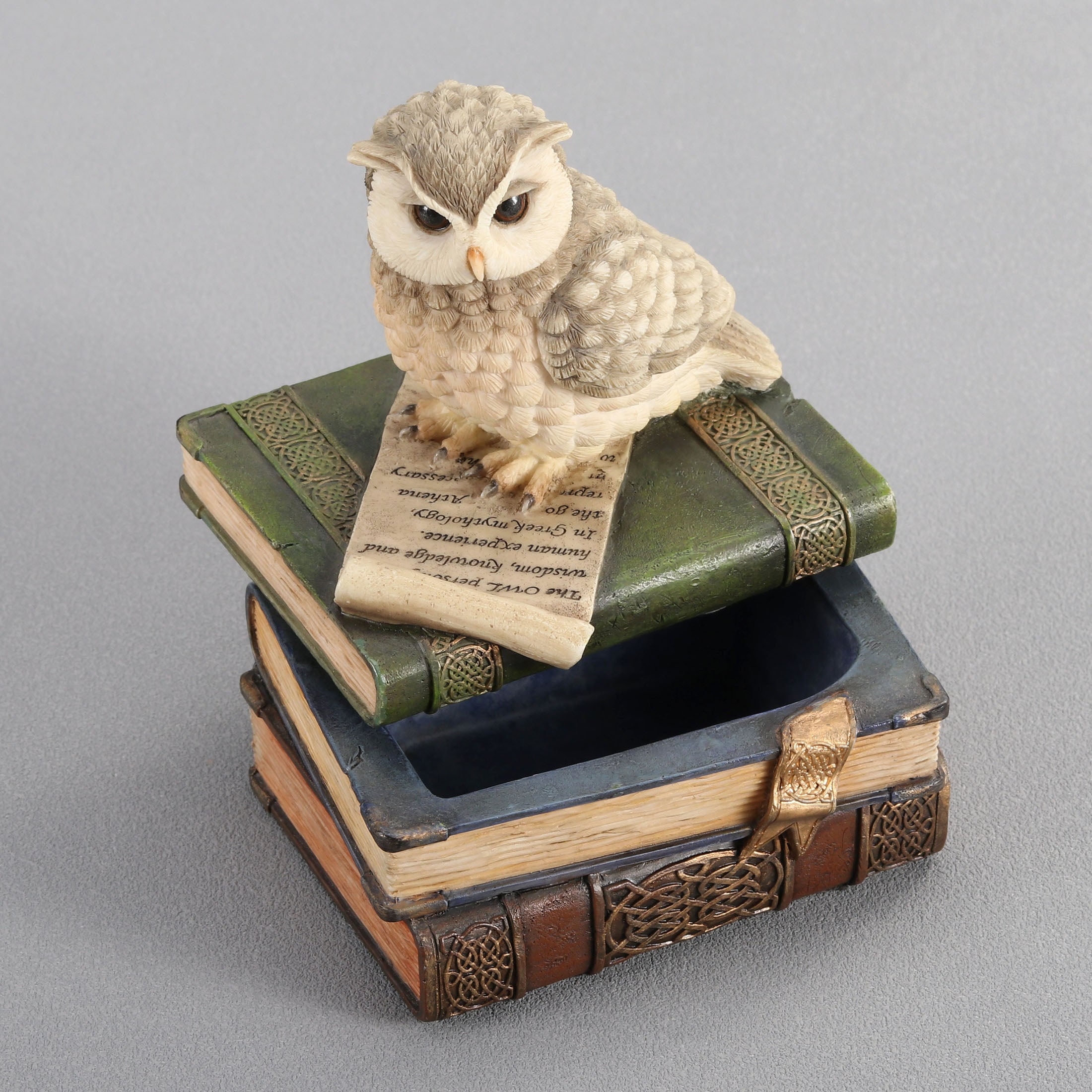 Collared Scops Owl On Books Trinket Box