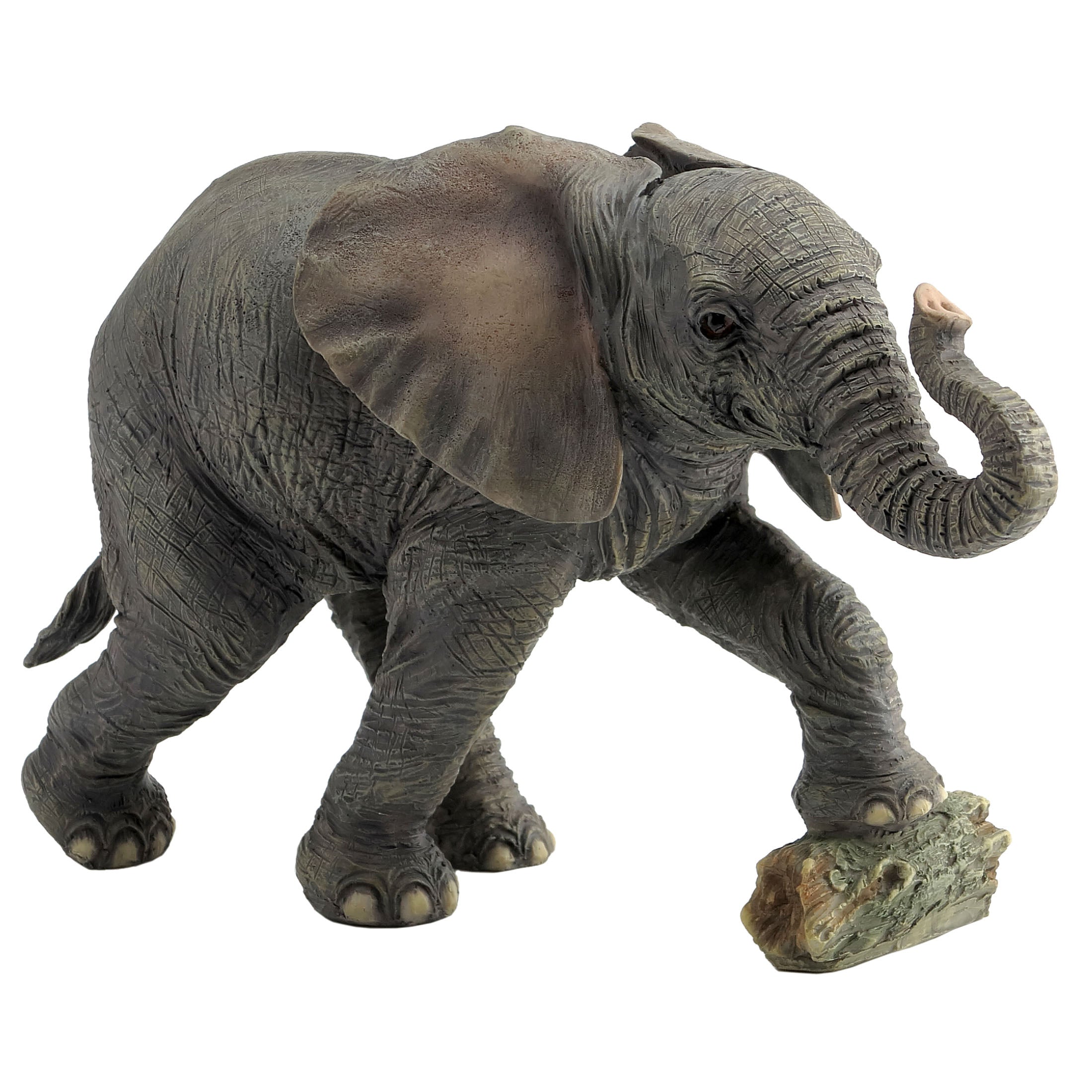 Baby Elephant Kicking Log