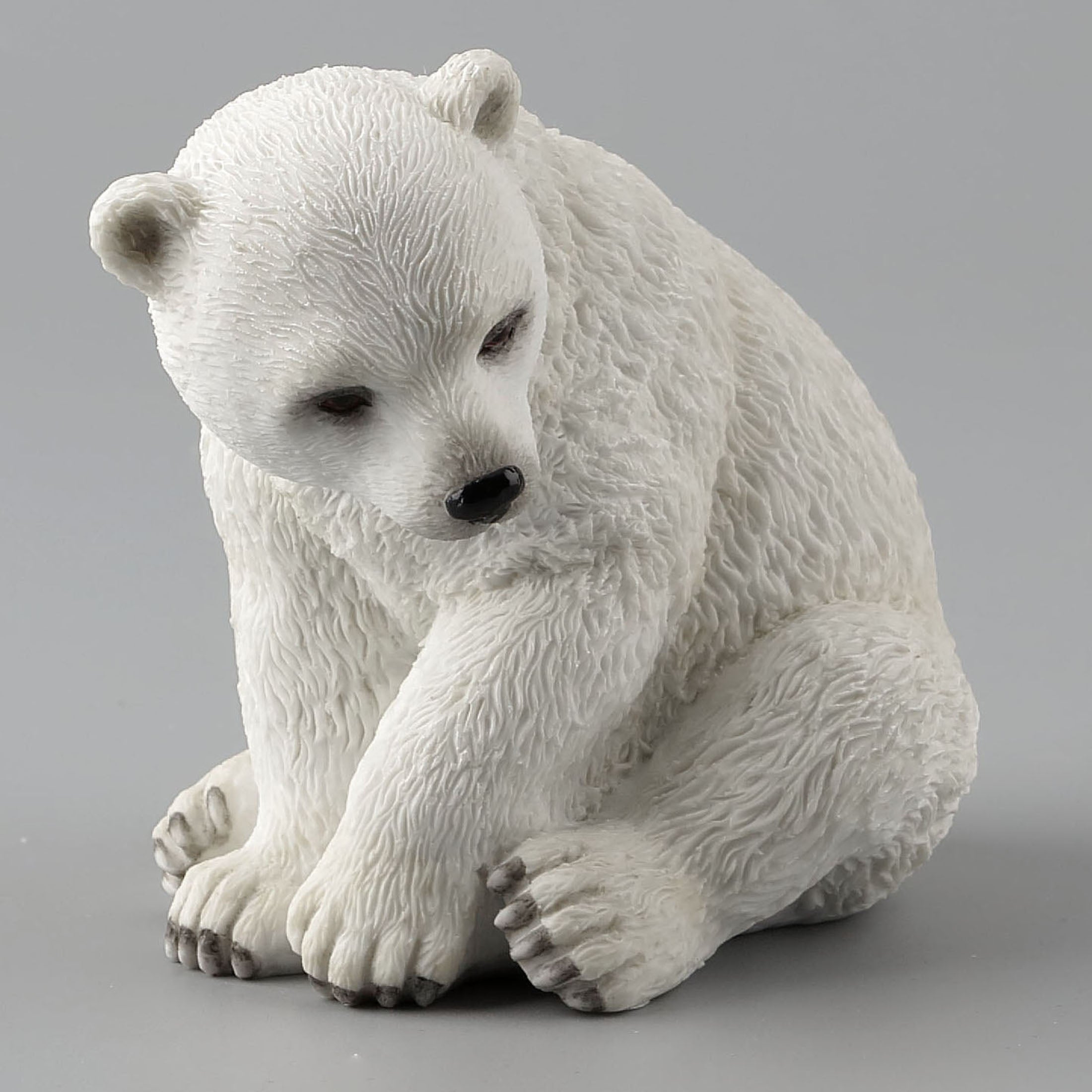 Polar Bear Cub Sitting