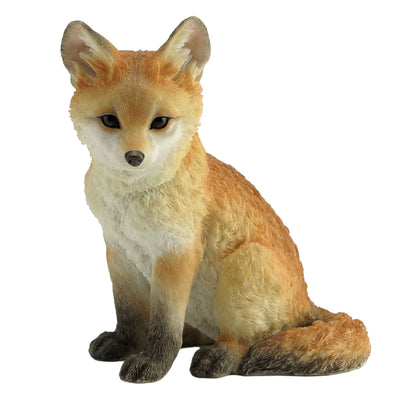 Fox Cub Sitting
