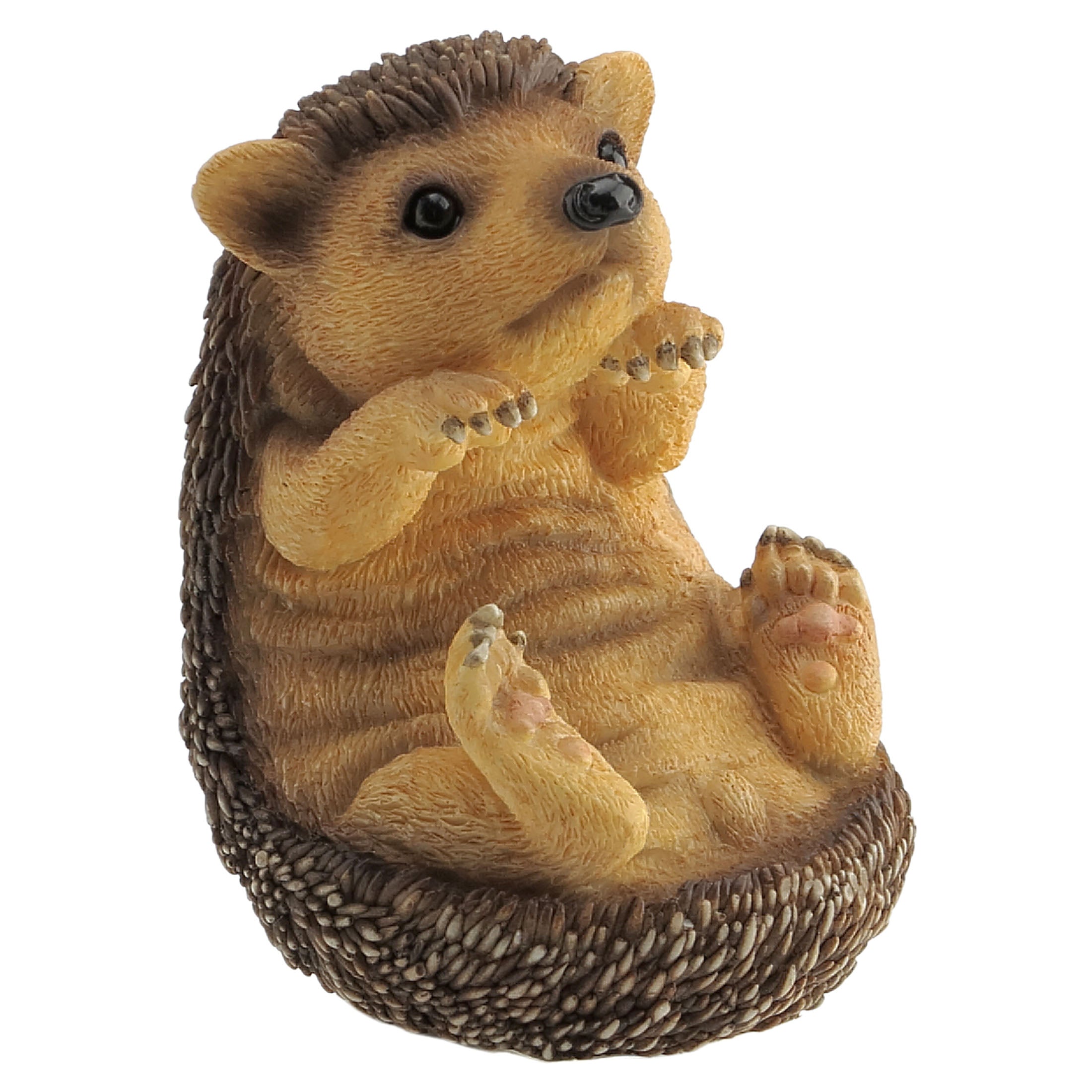 Baby Hedge Hog Sitting
