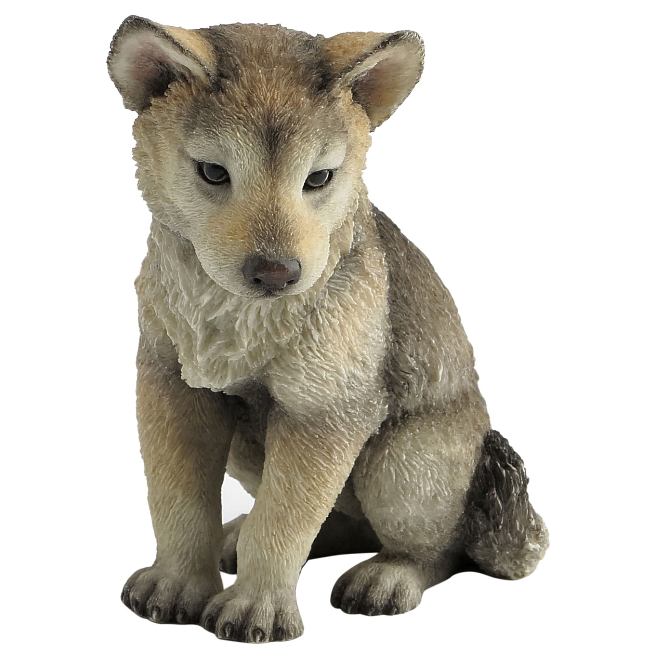 Wolf Cub Sitting