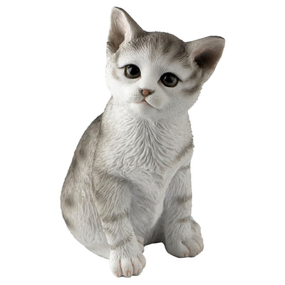 Sitting Tabby Kitten