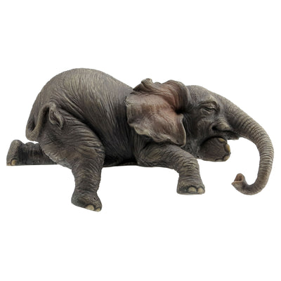 Lounging Baby Elephant