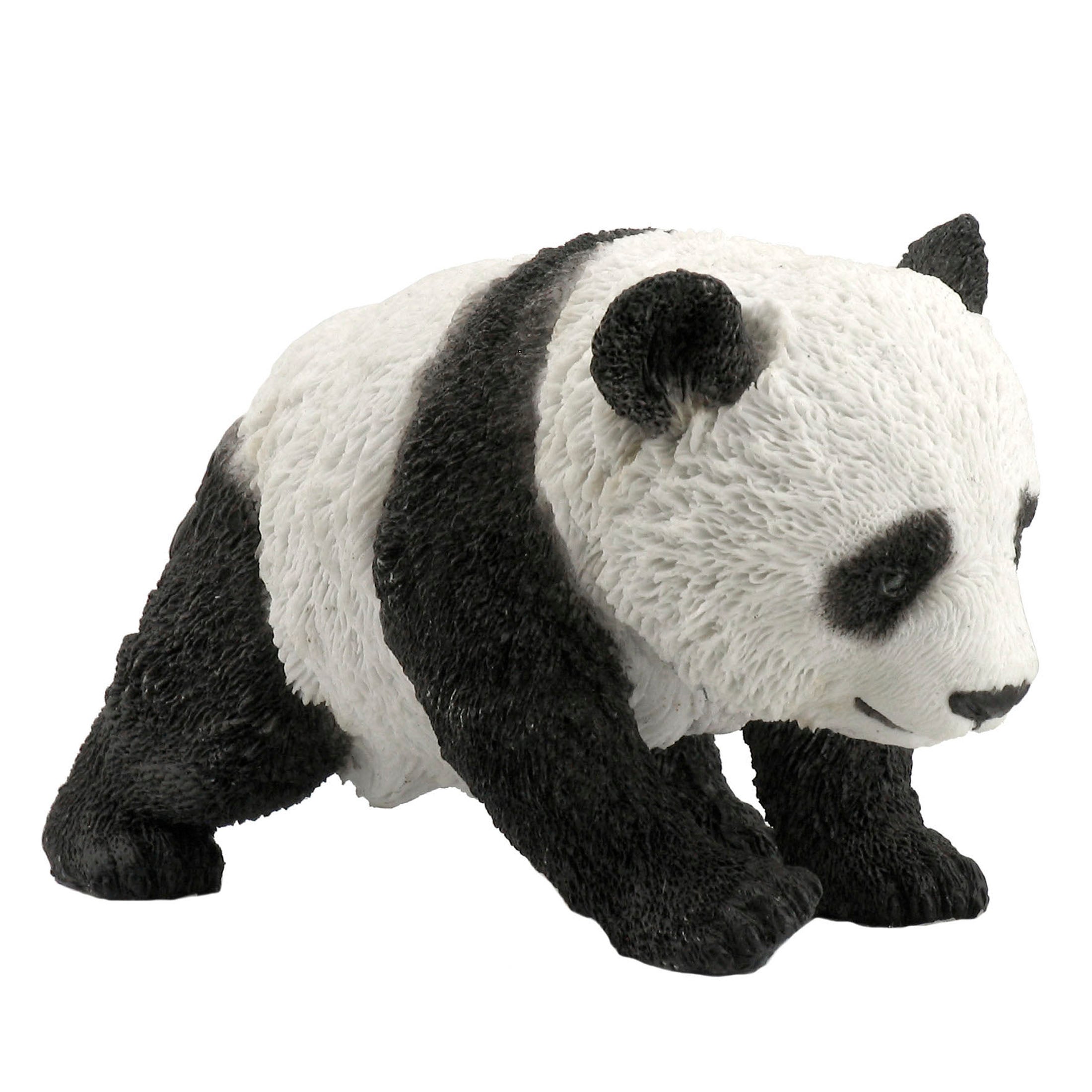 Panda Cub Walking