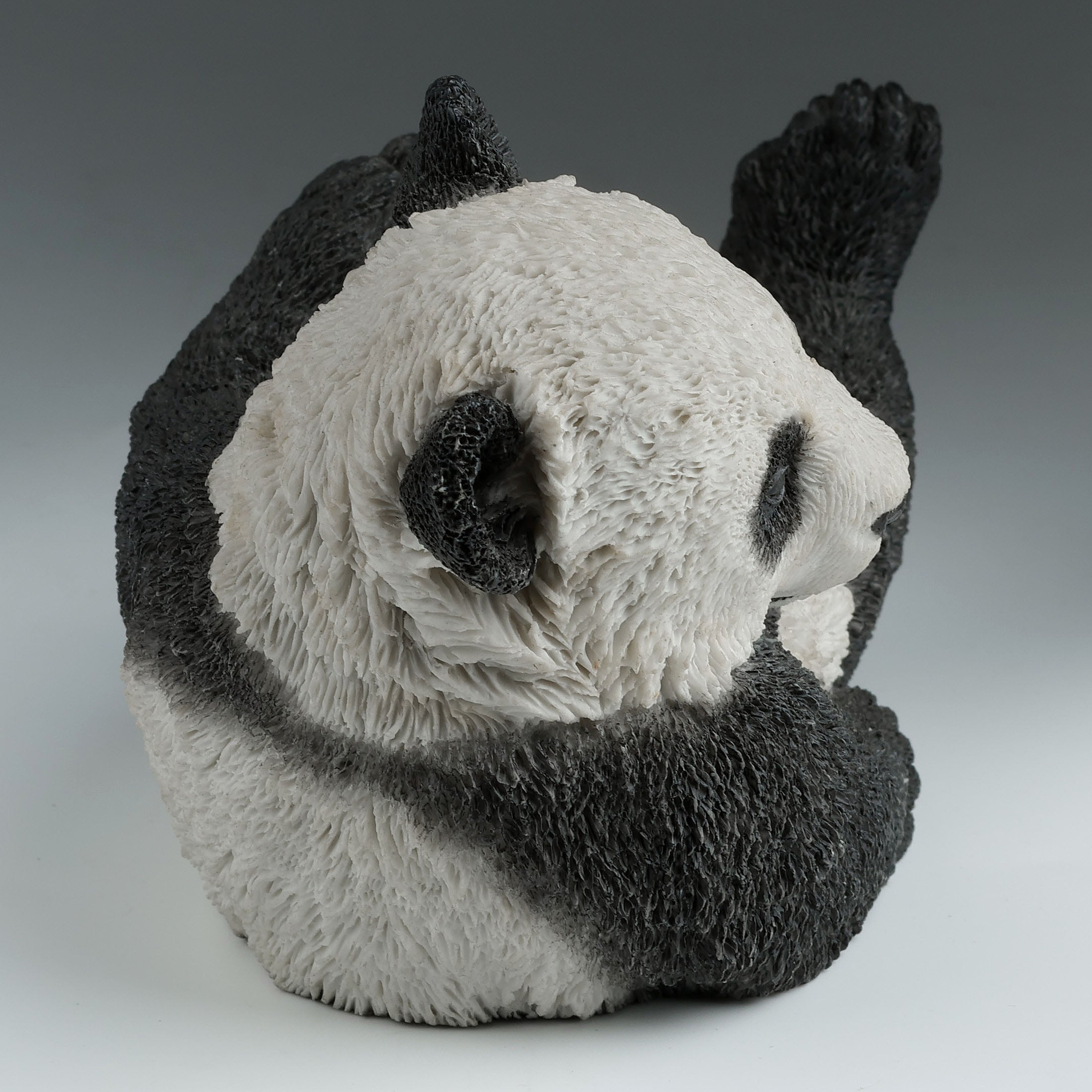 Panda Cub On His Back