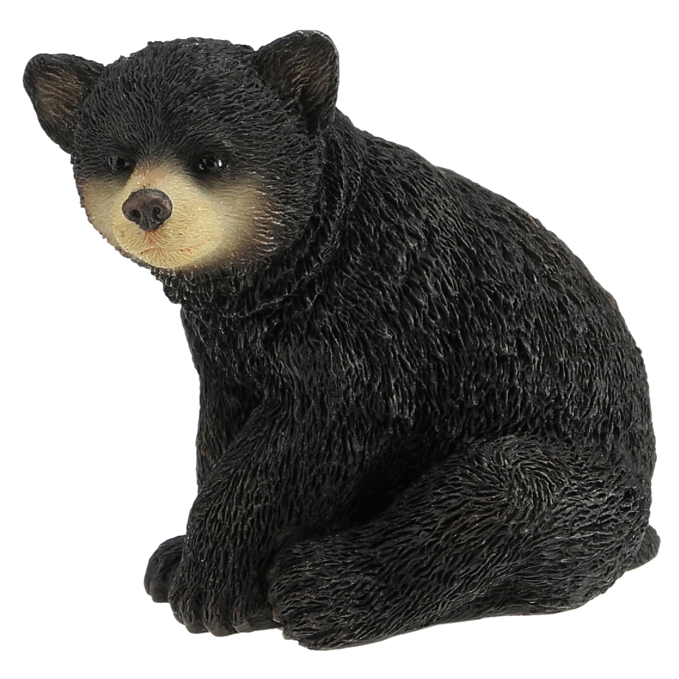 Black Bear Cub Sitting