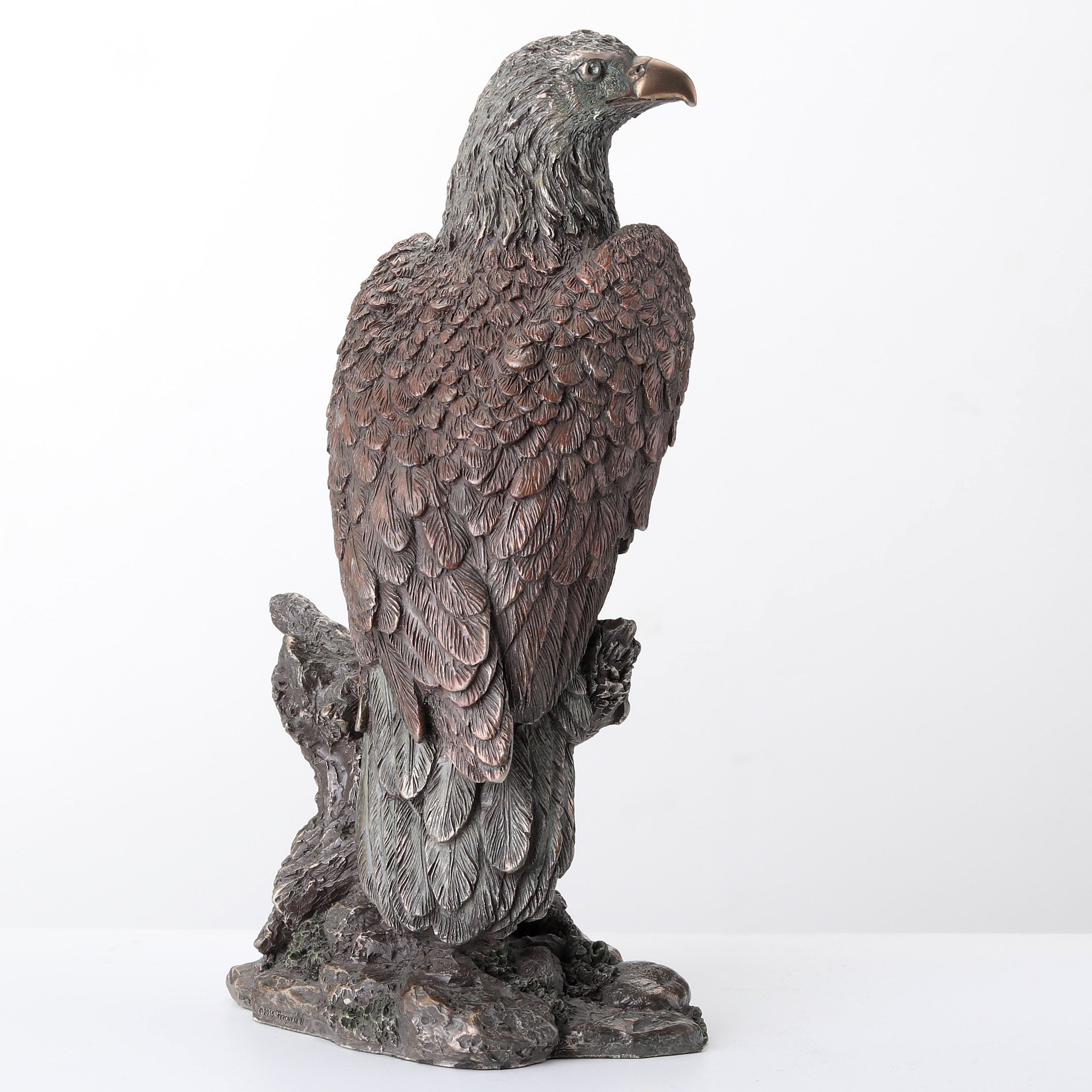 Bald Eagle Perching On Tree Branch
