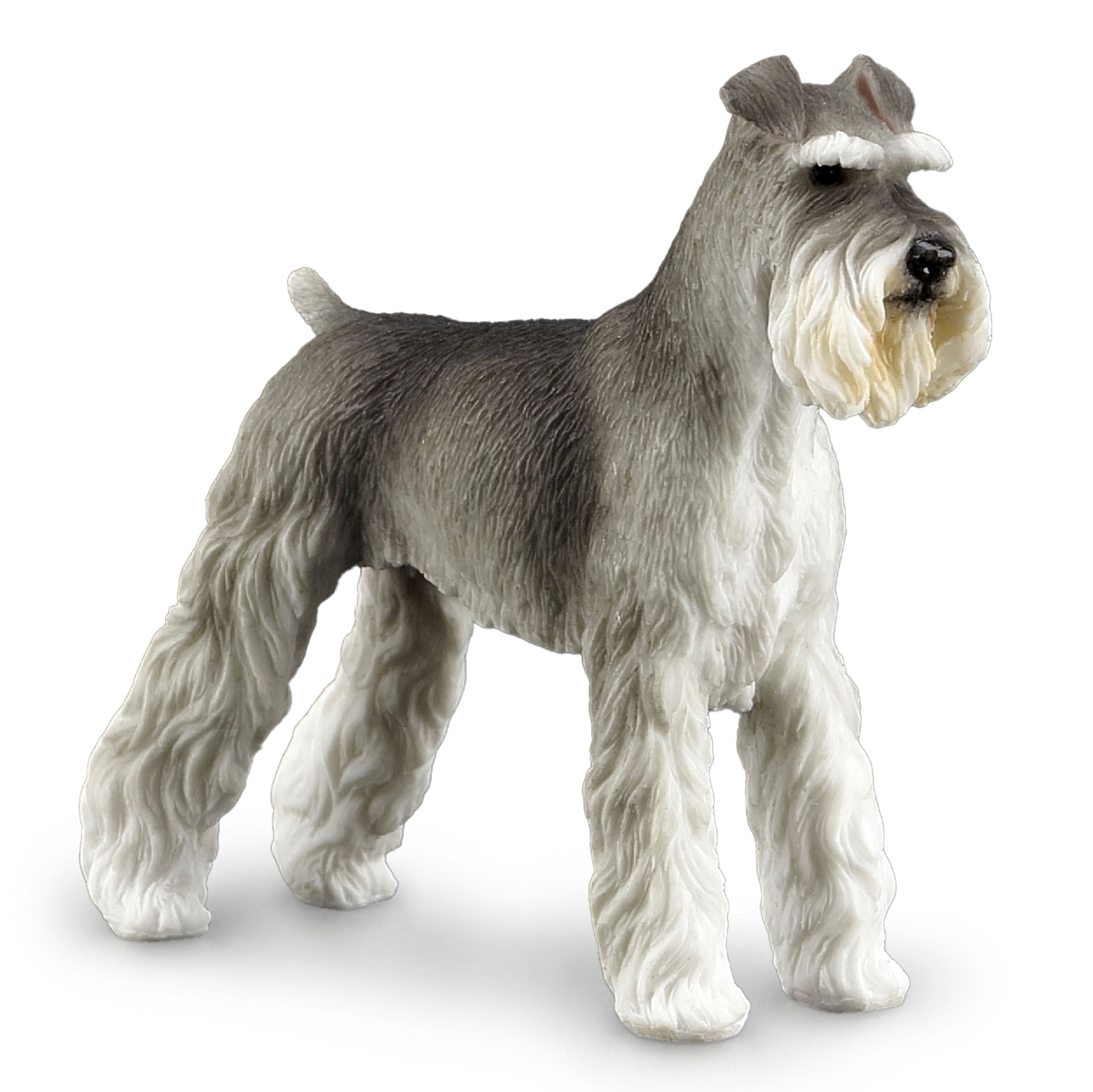 Giant Schnauzer