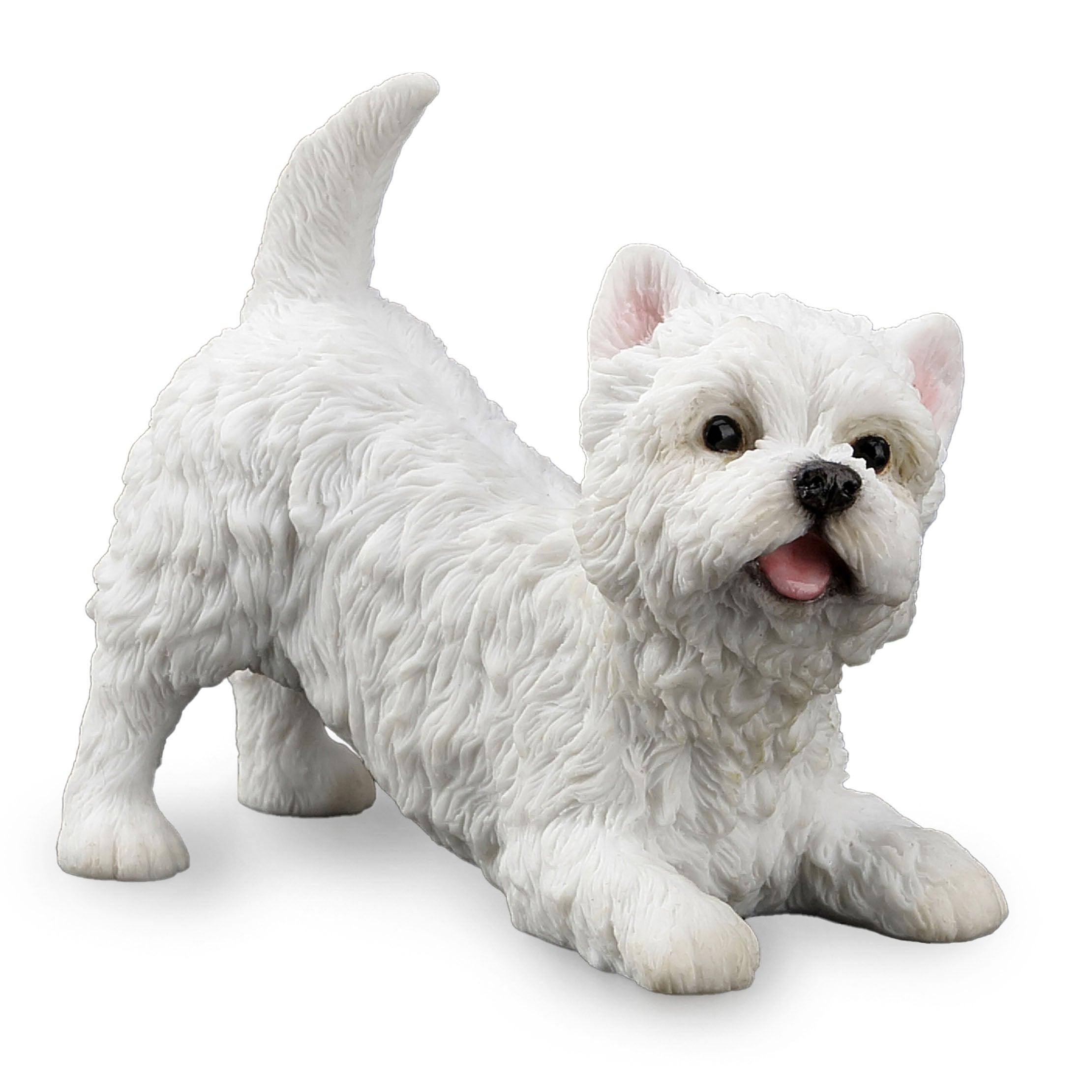 West Highland White Terrier