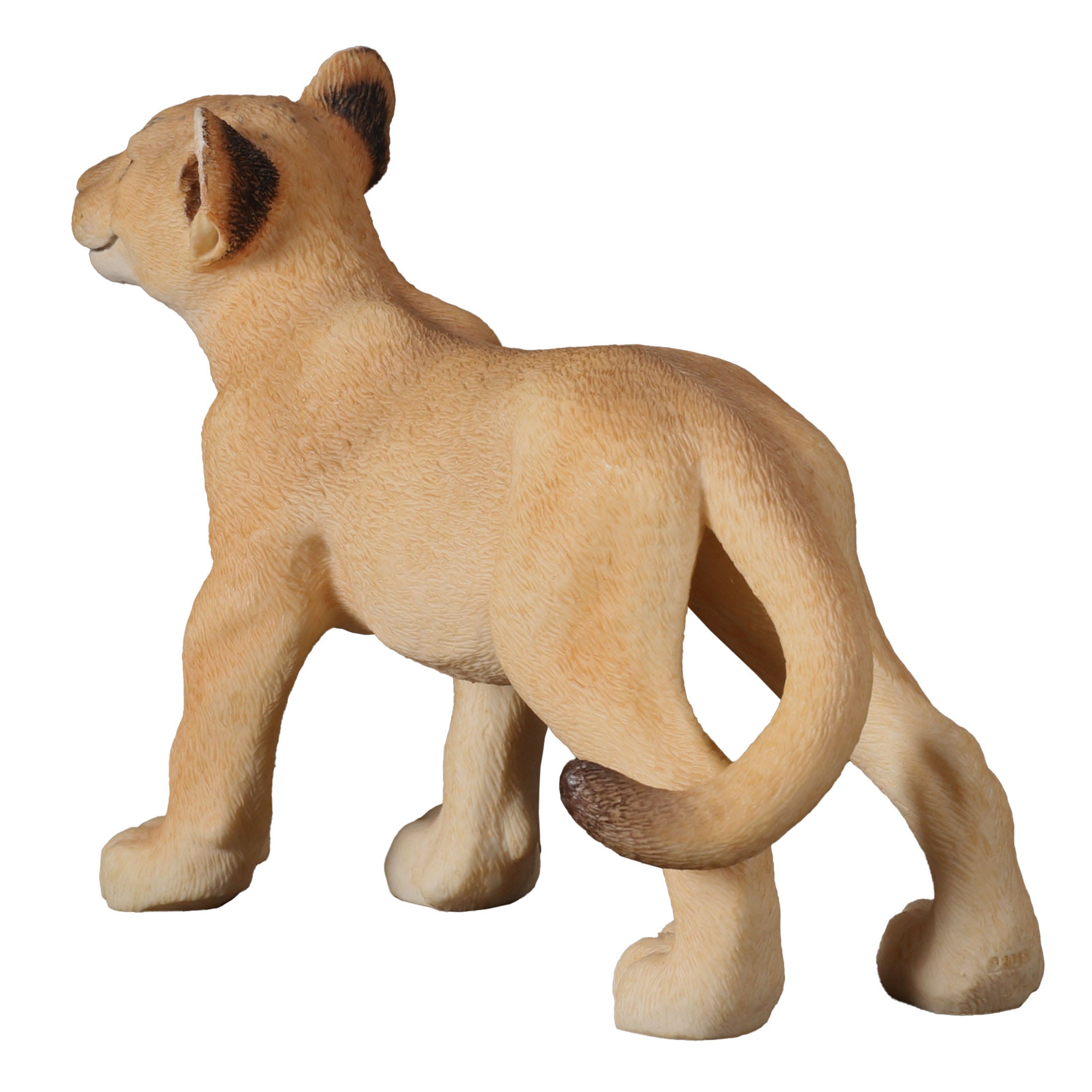 Lion Cub