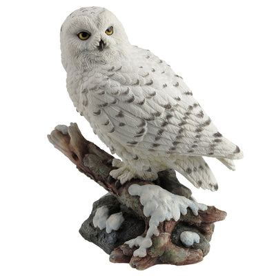 Snow Owl Perching On Branch