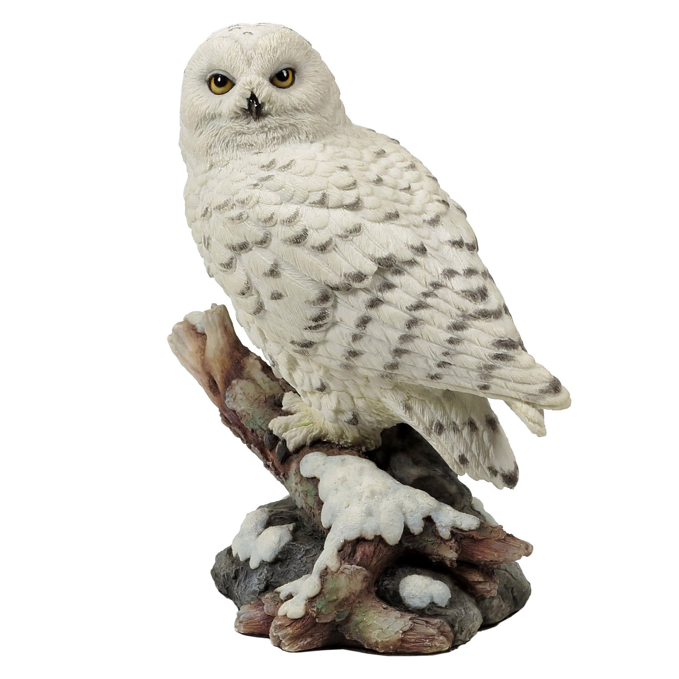 Snow Owl Perching On Branch