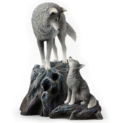 Guidance By Lisa Parker