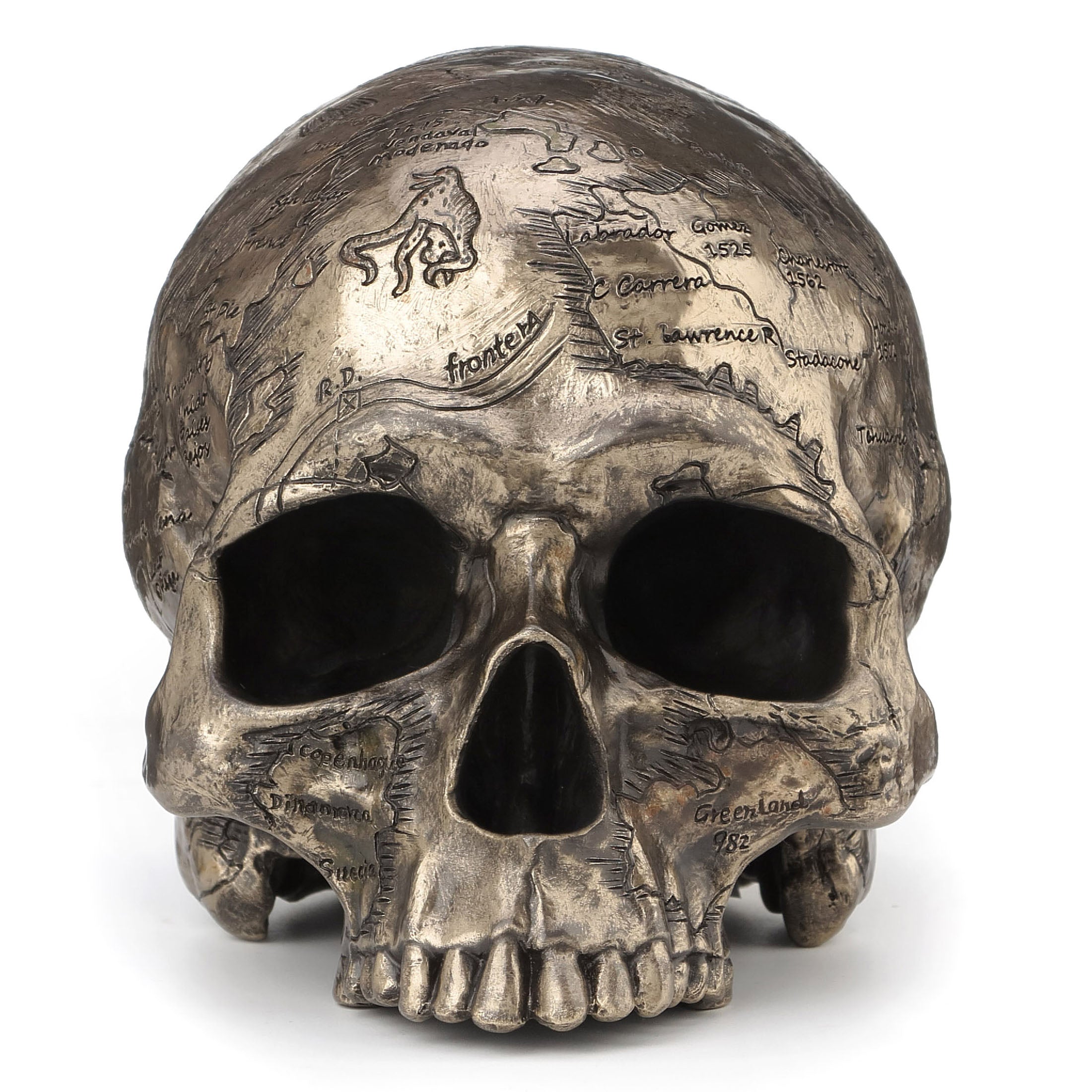 Craniumography Skull Map