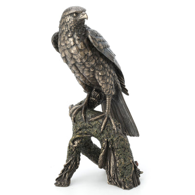 Sparrow Hawk