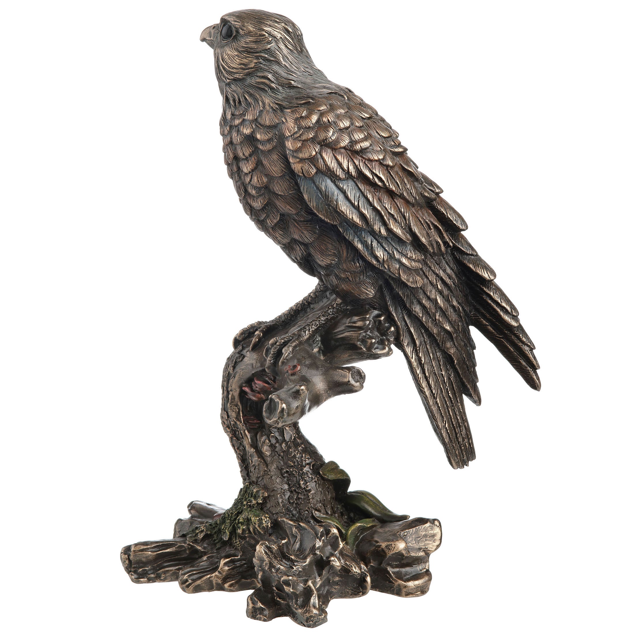 Kestrel Falcon