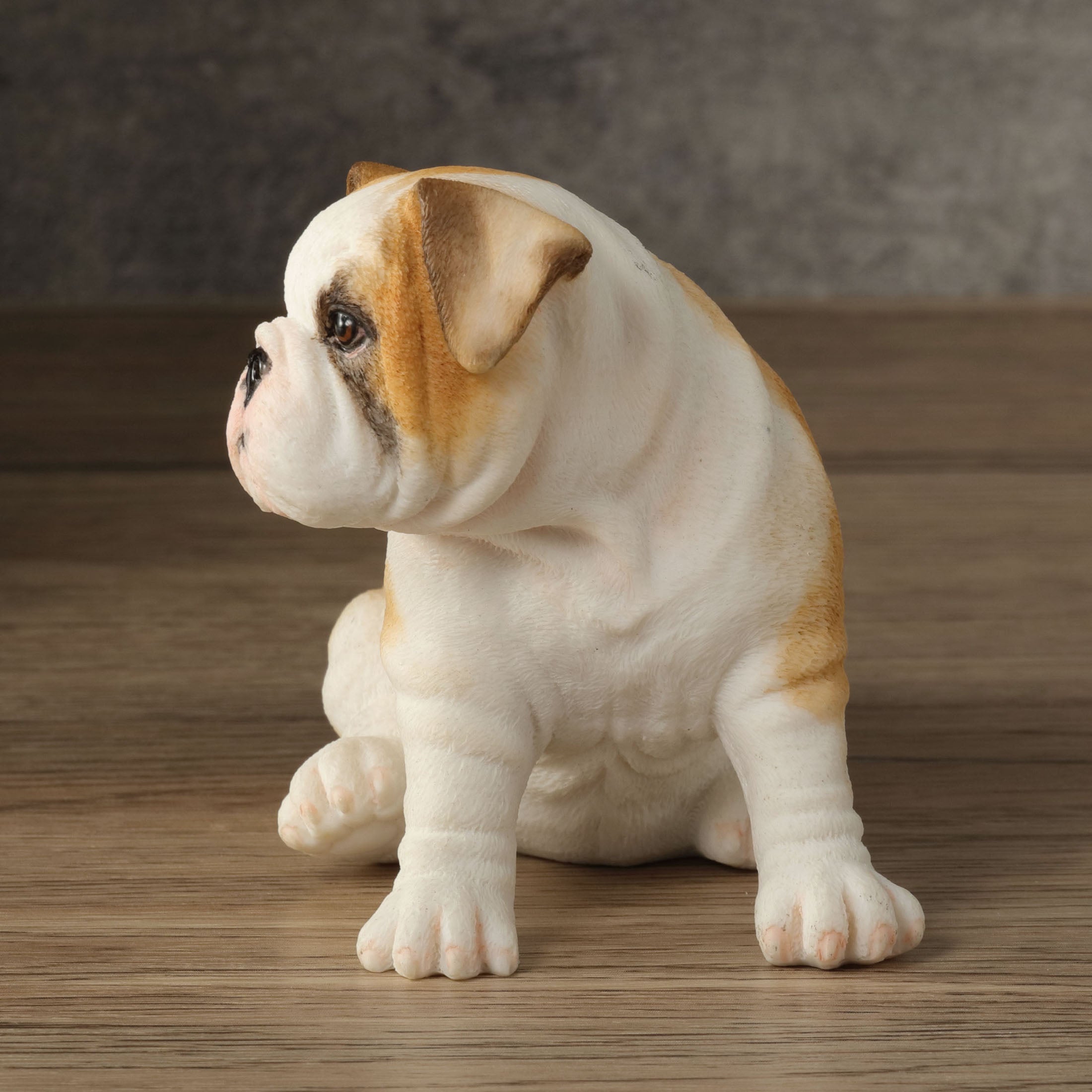 Bulldog Puppy Sitting