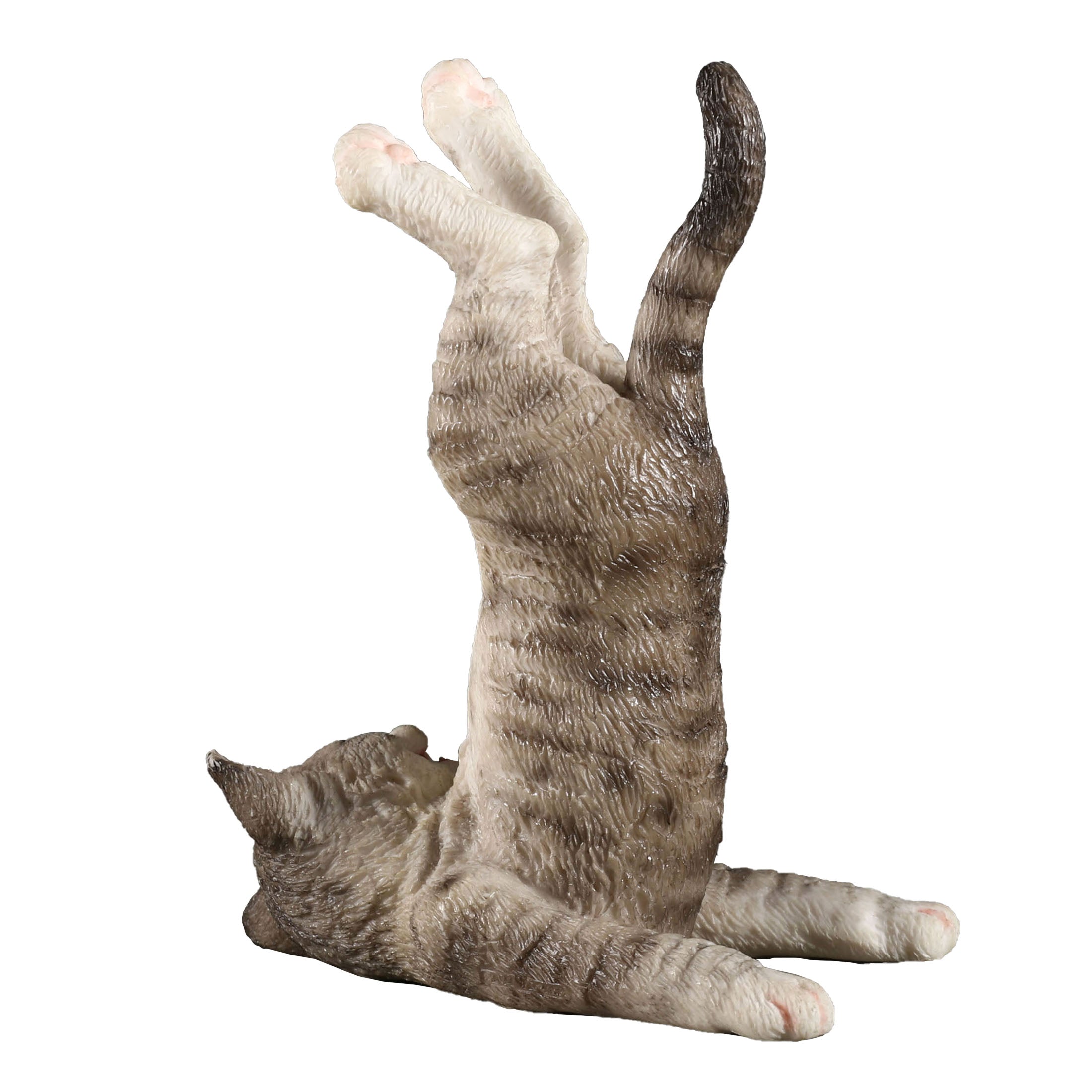 Tabby Yoga Cat Shoulder Stand Pose